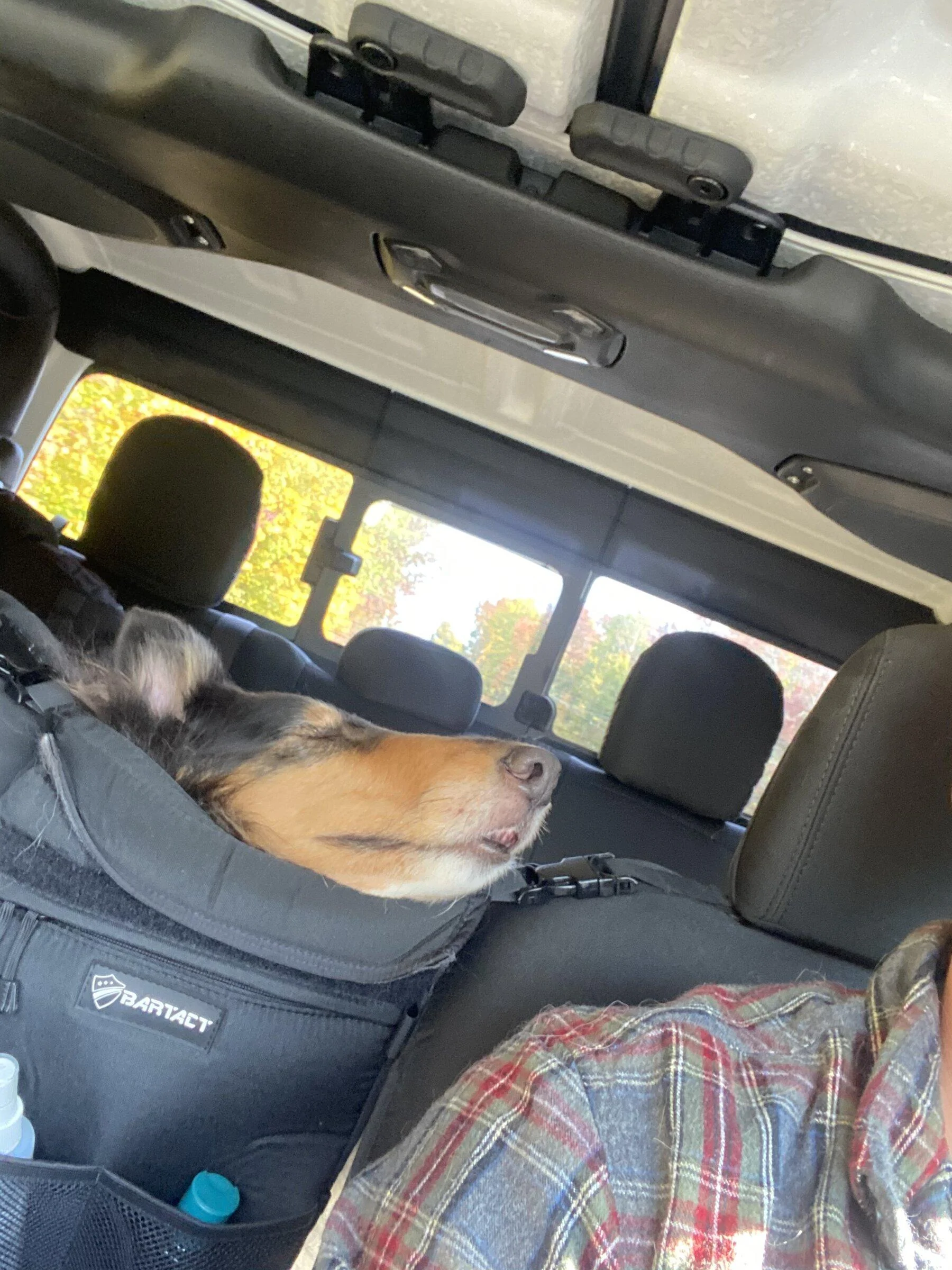 Jeep Gladiator Dog co-pilot help. 53DB44F0-0AEF-4BEC-AA85-06D9F239D86D