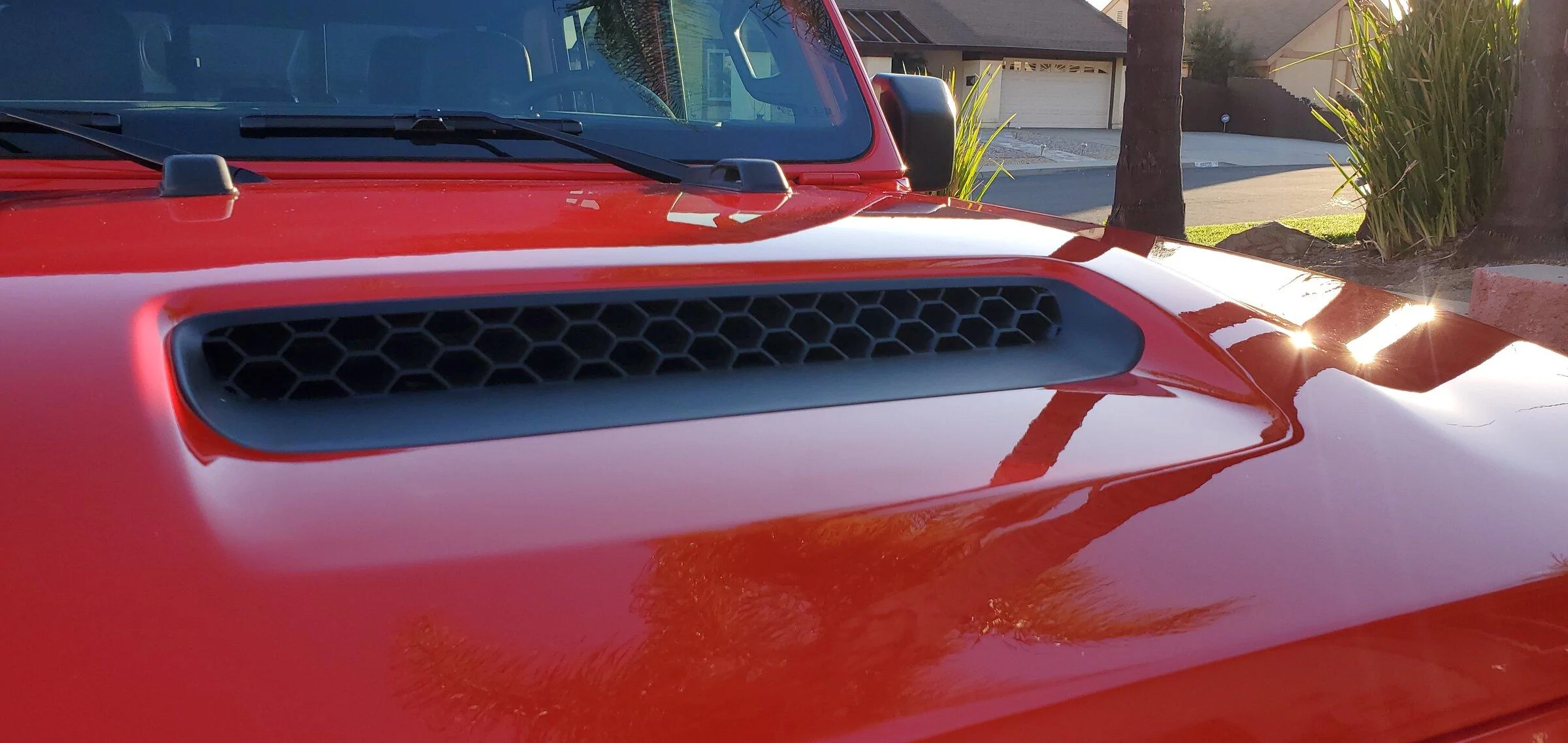 Jeep Gladiator What is a good product to protect, etc. black fender flares 20211121_154617