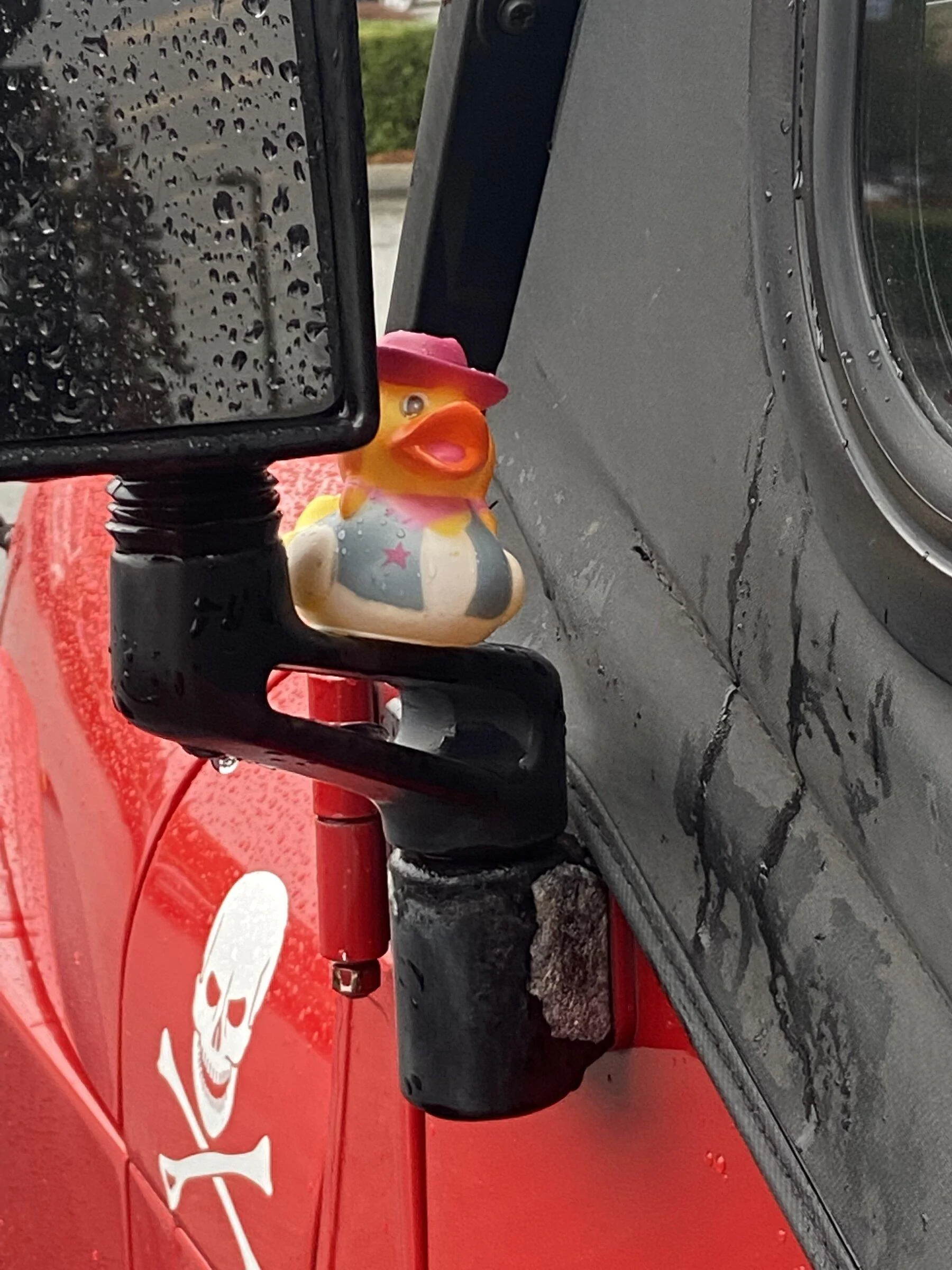 Jeep Gladiator Got my first duck! IMG_7776