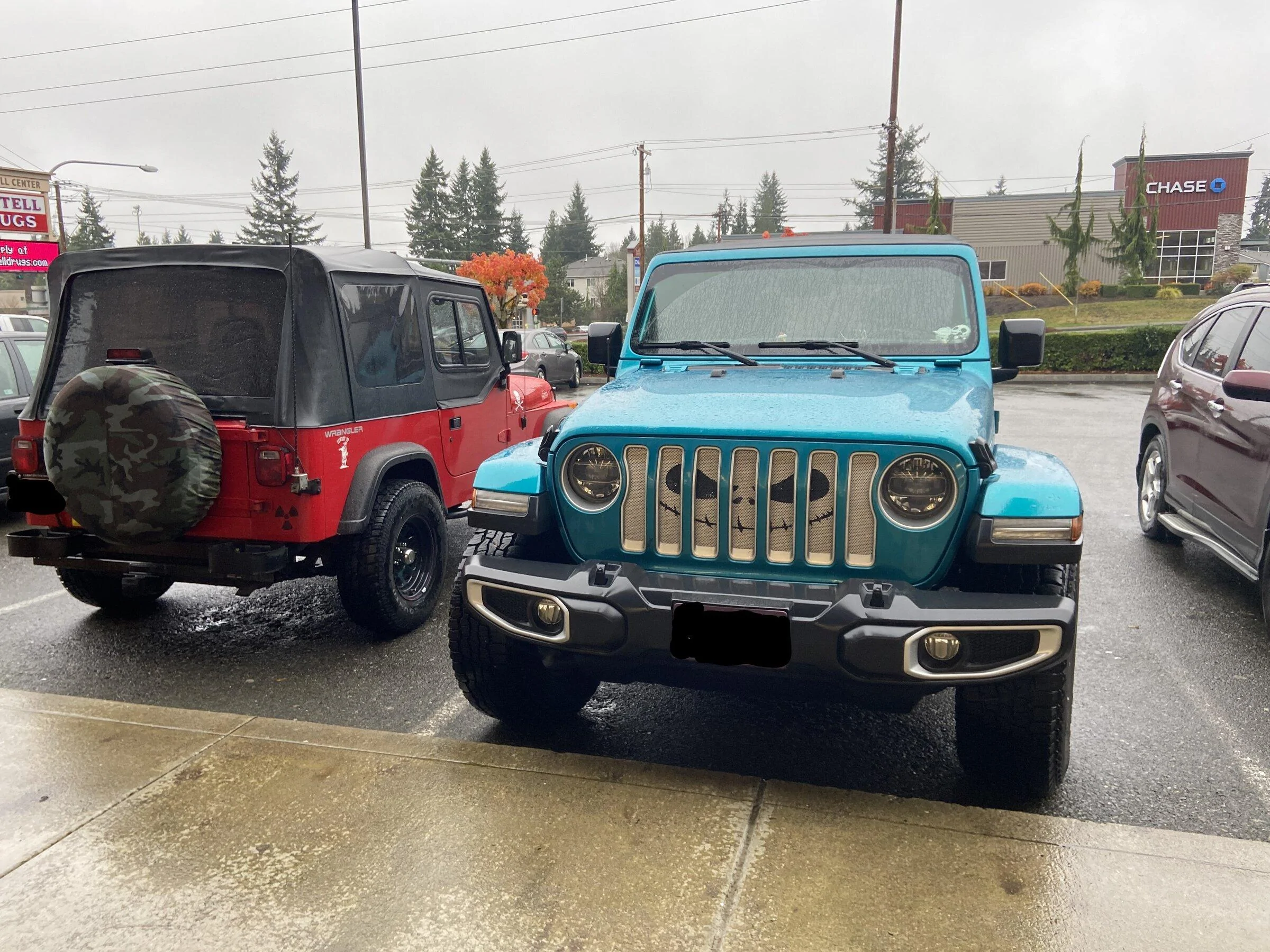 Jeep Gladiator Got my first duck! IMG_7777_LI