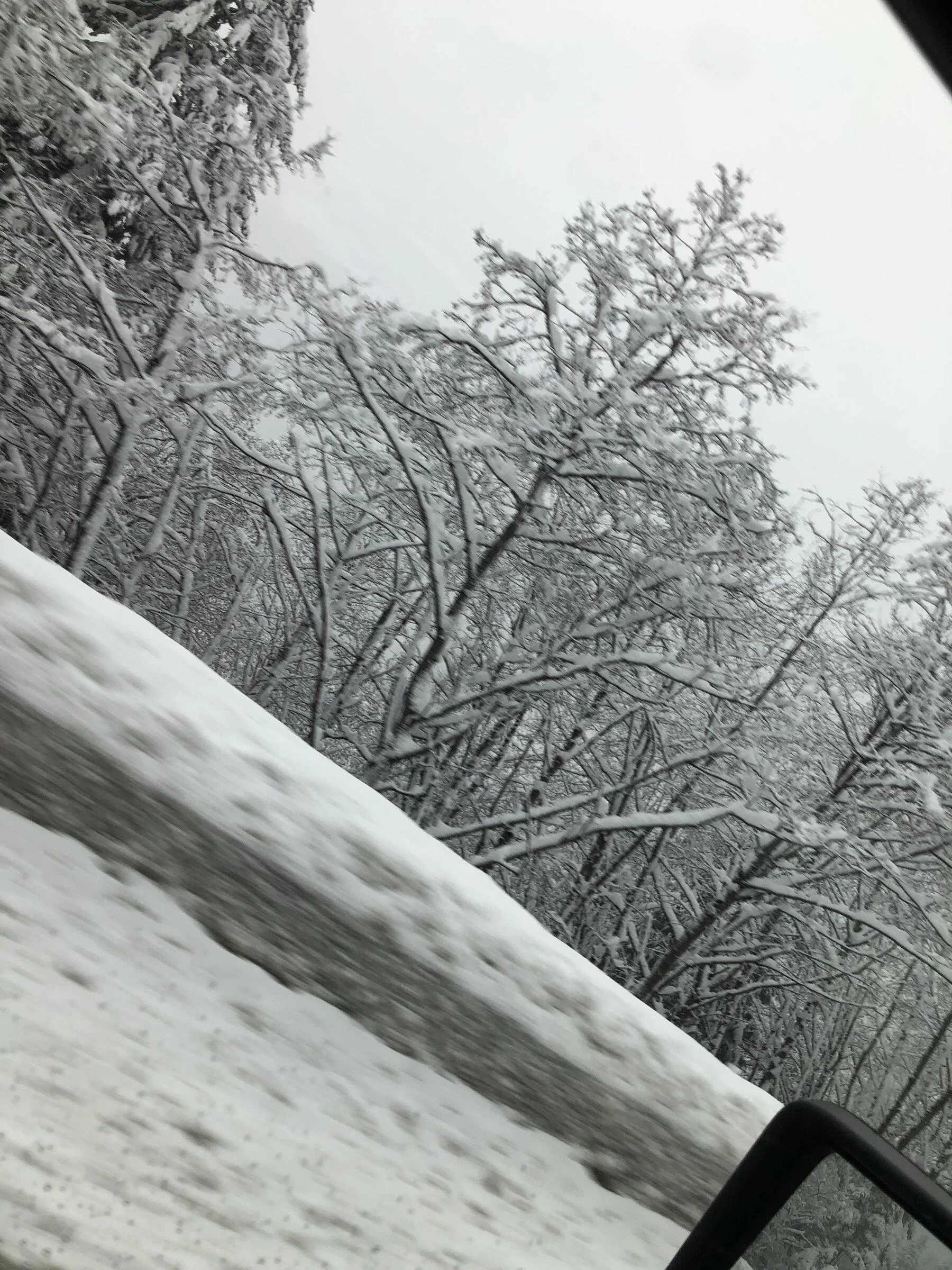 Jeep Gladiator Winter driving tips? CEA27DD9-9CB6-4DCB-9595-F3D7B6FC0BFD