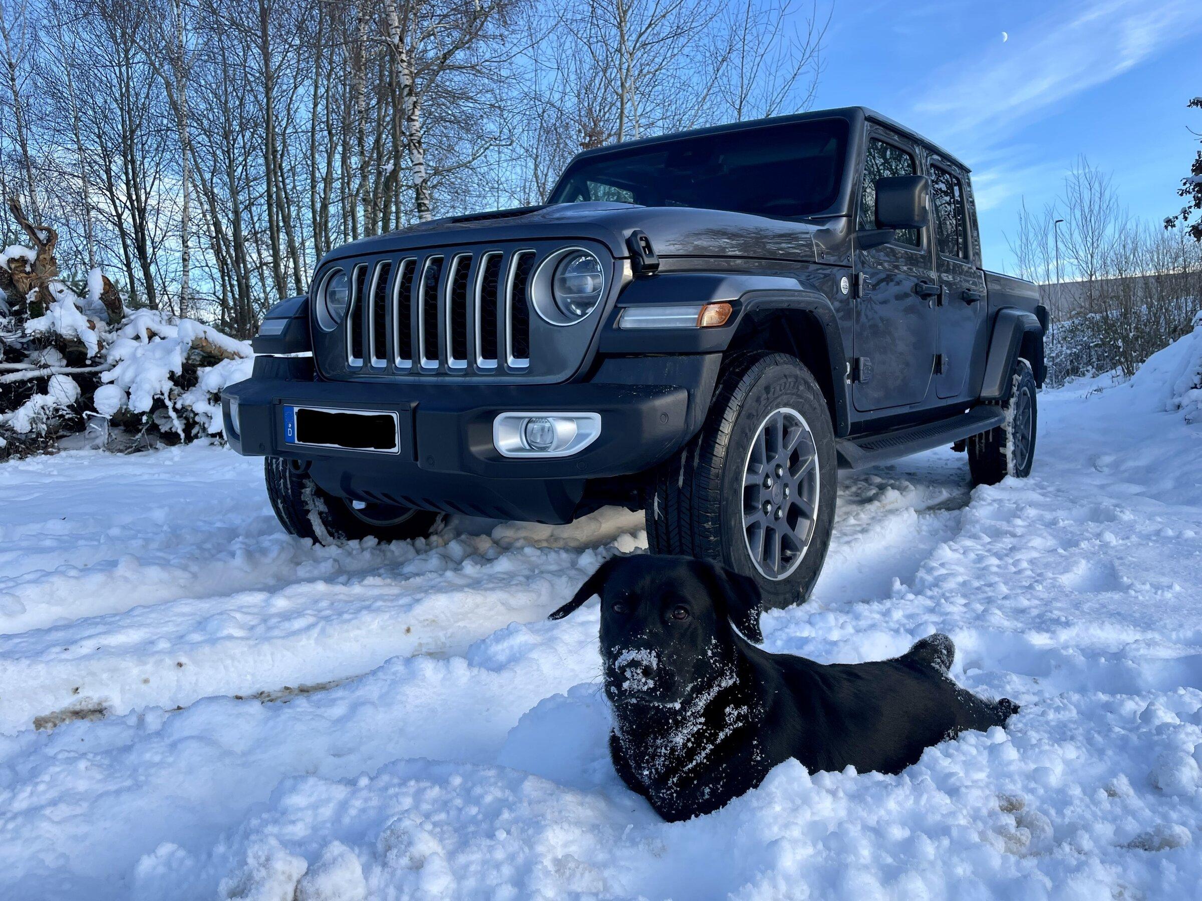 Jeep Gladiator What did you do WITH your Gladiator today? 6BD5E002-C2FF-4AB9-A0AC-7AB73443EF7C
