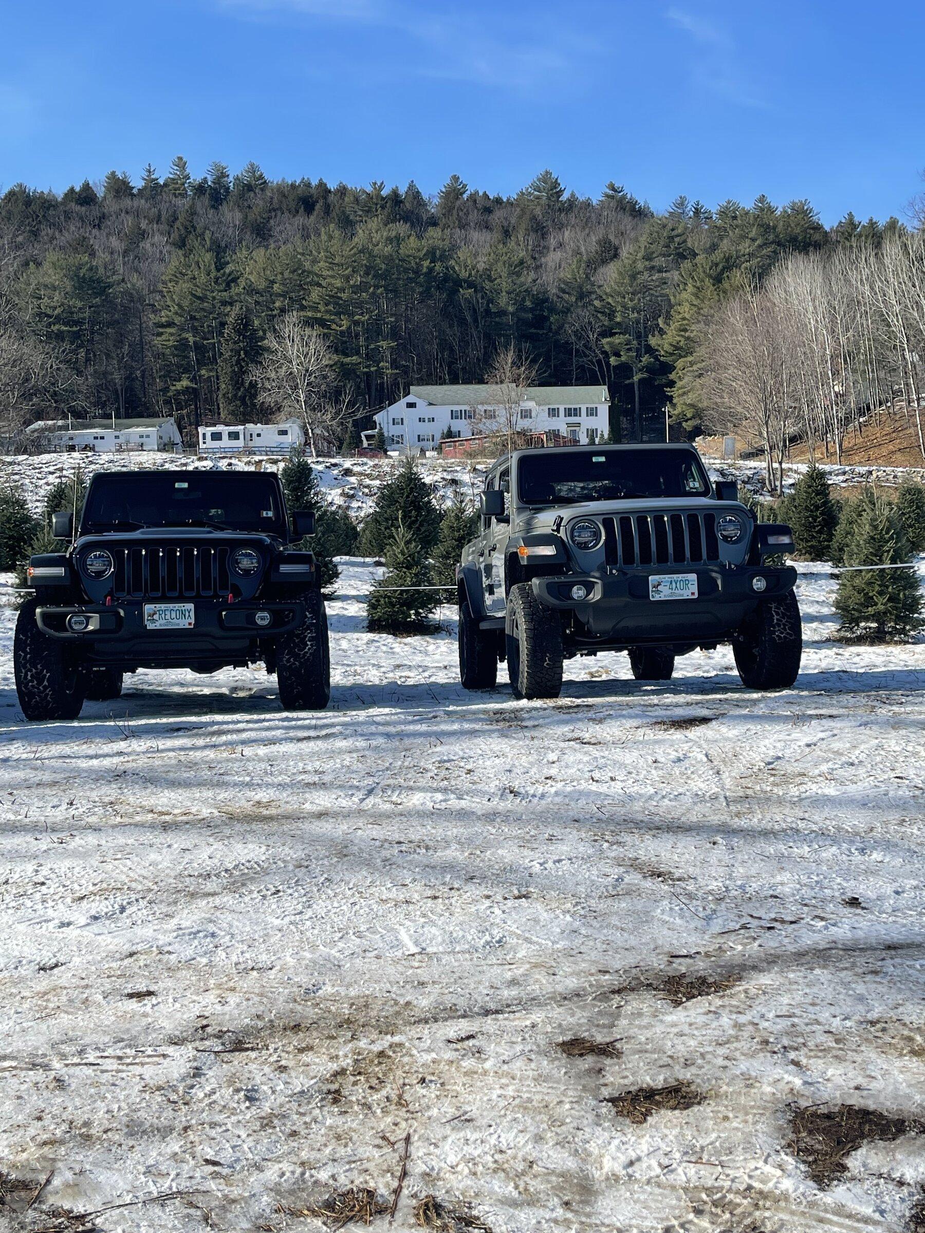 Jeep Gladiator WTB Rubicon or Mojave flares. IMG_0613