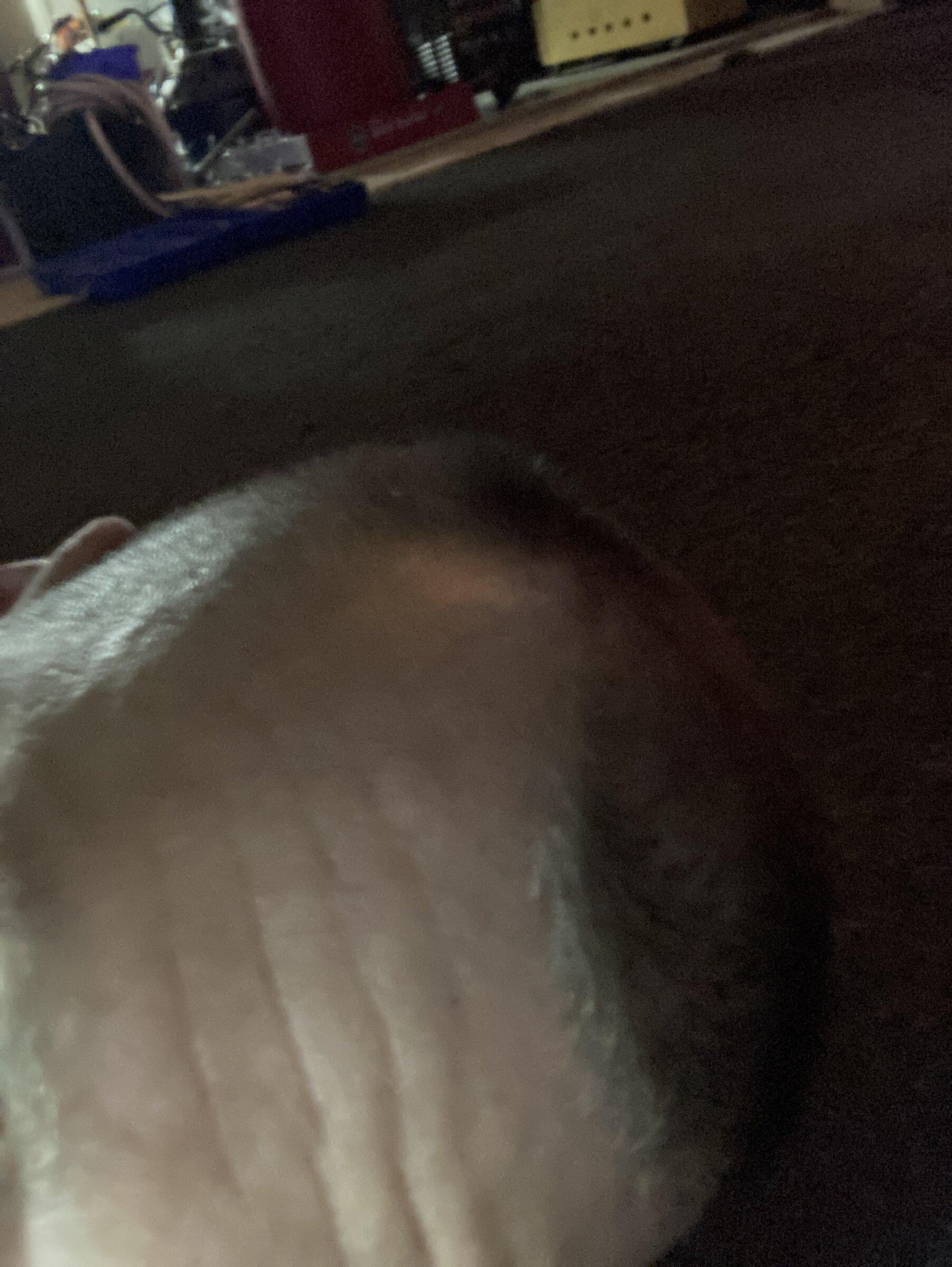 BEED19CE-B4DA-4528-8C7A-76D0B6CB9B5E.jpeg