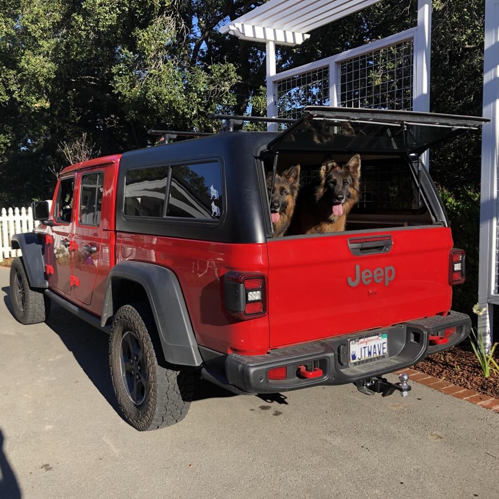 Jeep Gladiator Glad(iator) Dogs! Let's see 'em! 73EKG8xWQ7Gl+yTA0ITAtA_thumb_c118