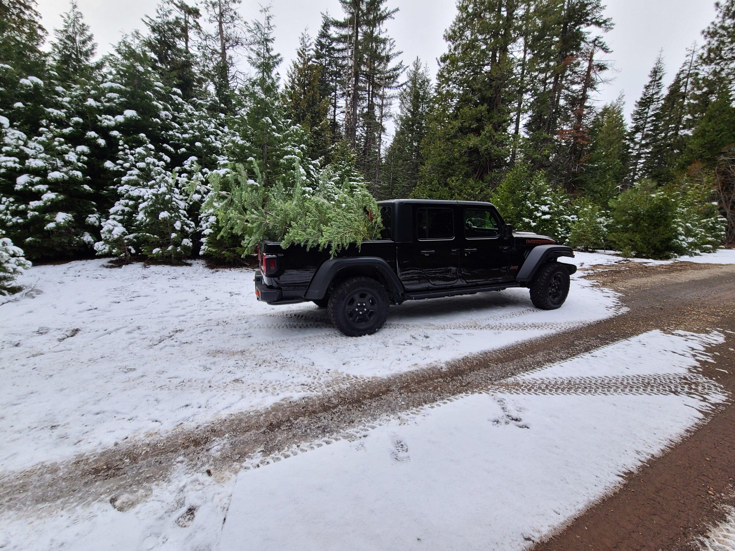 Jeep Gladiator ***Official Mojave Thread*** Lets talk Mojaves 20211211_132006