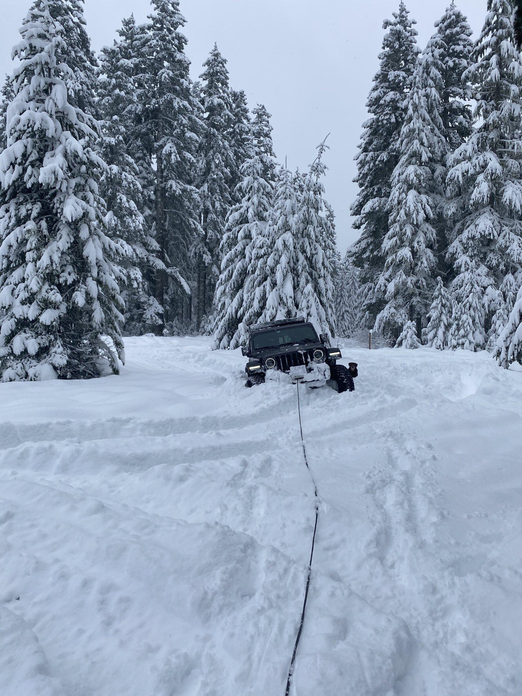 Jeep Gladiator Let's see those winter wheeling shots! ? 76EFD812-58D0-46E9-8051-E7D6608DCEC4