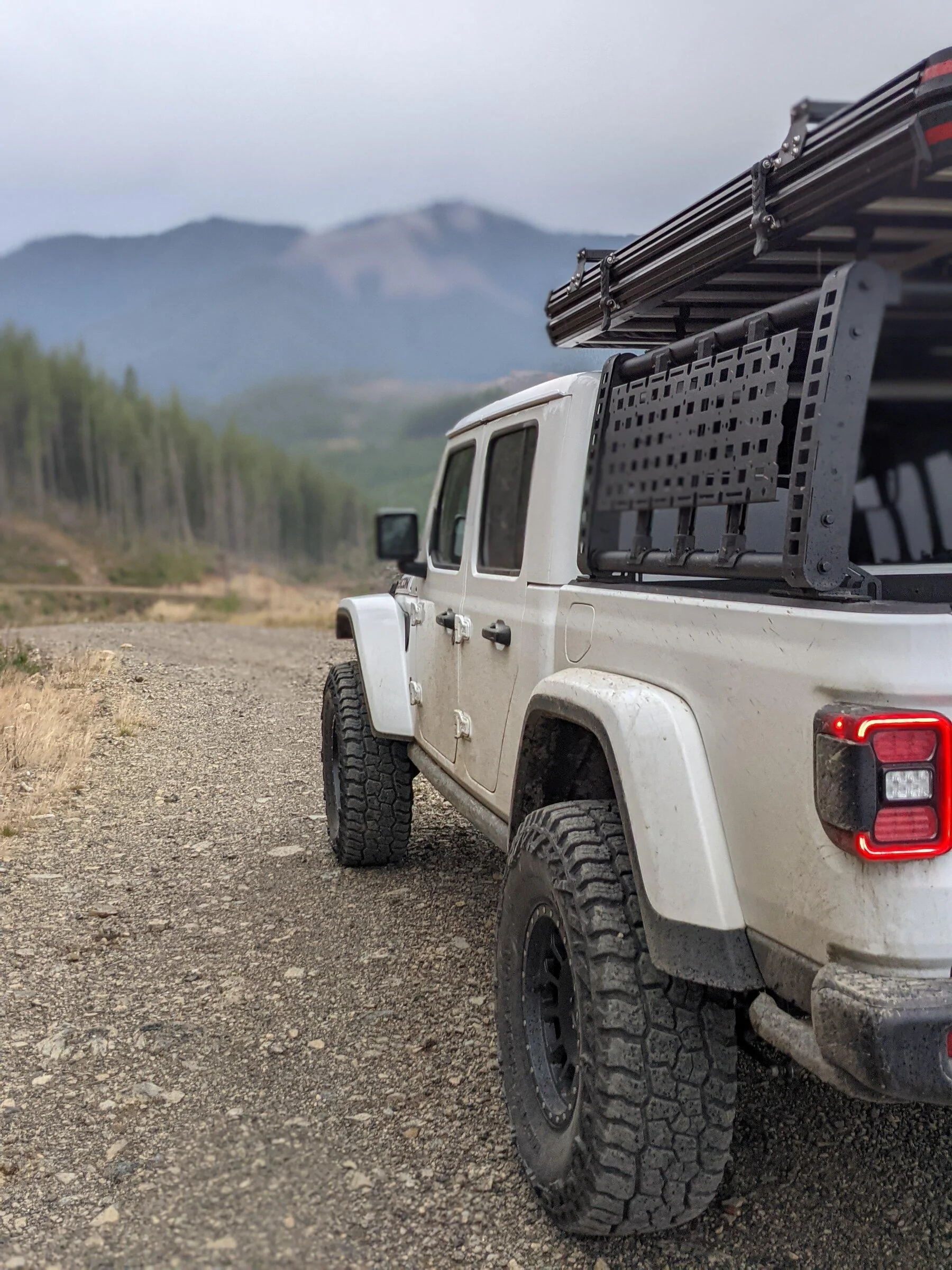 Jeep Gladiator 2022 rubicon order decision .. gas or diesel ? PXL_20211118_224702578.PORTRAIT