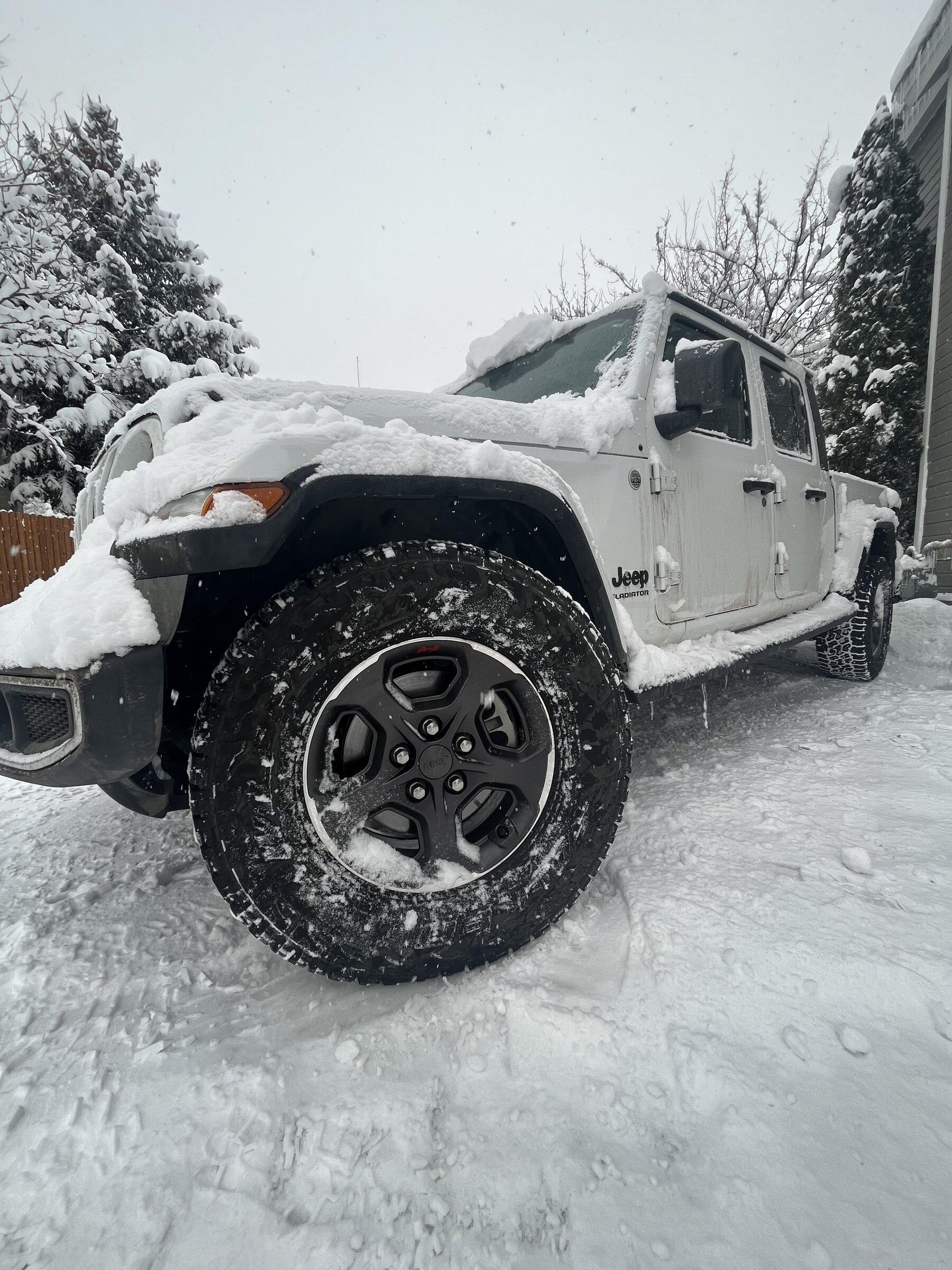 Jeep Gladiator Stormtroopers! B9672B04-B728-48A6-815B-9323E9AACE8F