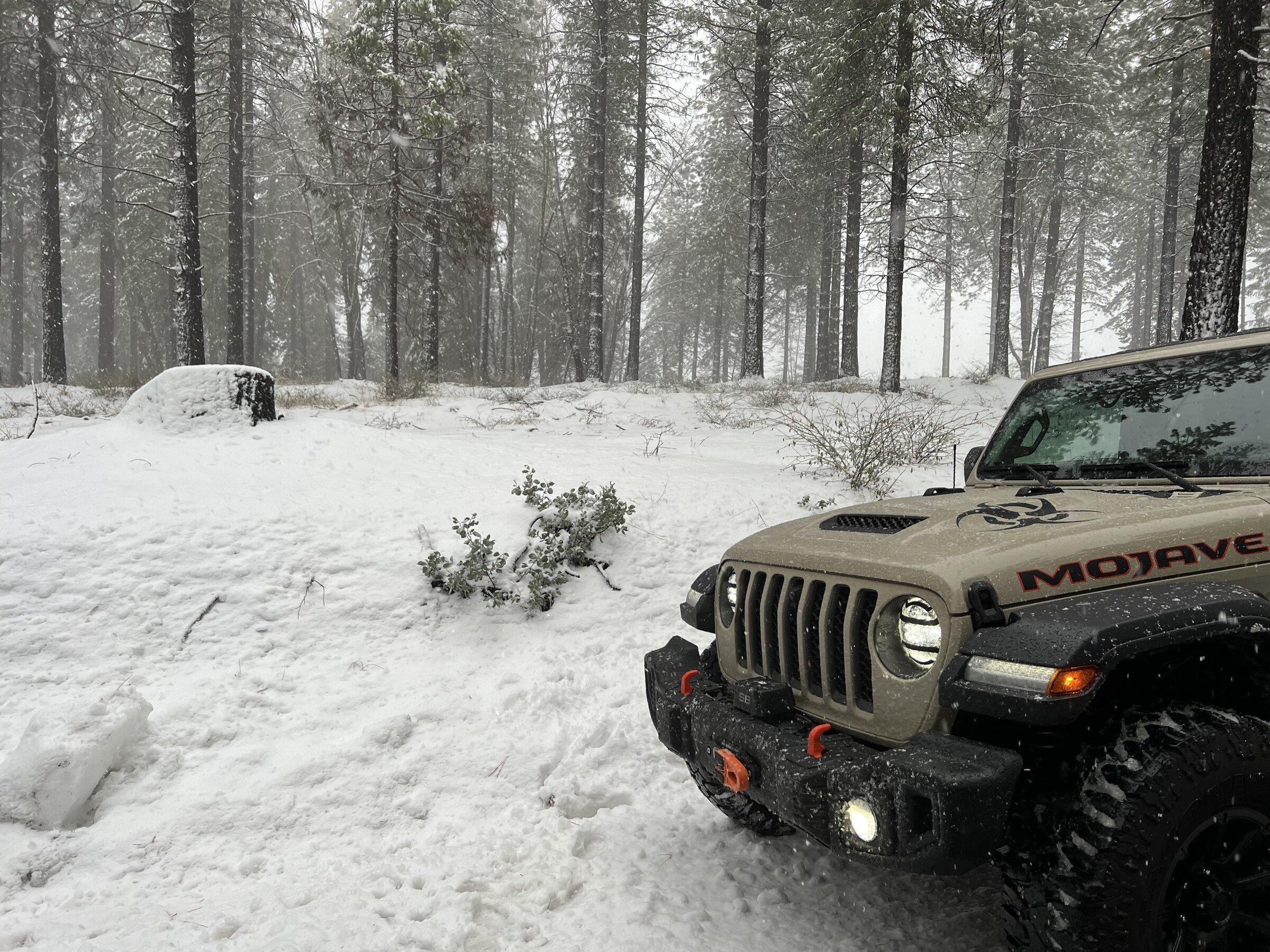 Jeep Gladiator Stormtroopers! 649BAA4D-5003-40EB-ADA2-8CA818AFB8DA