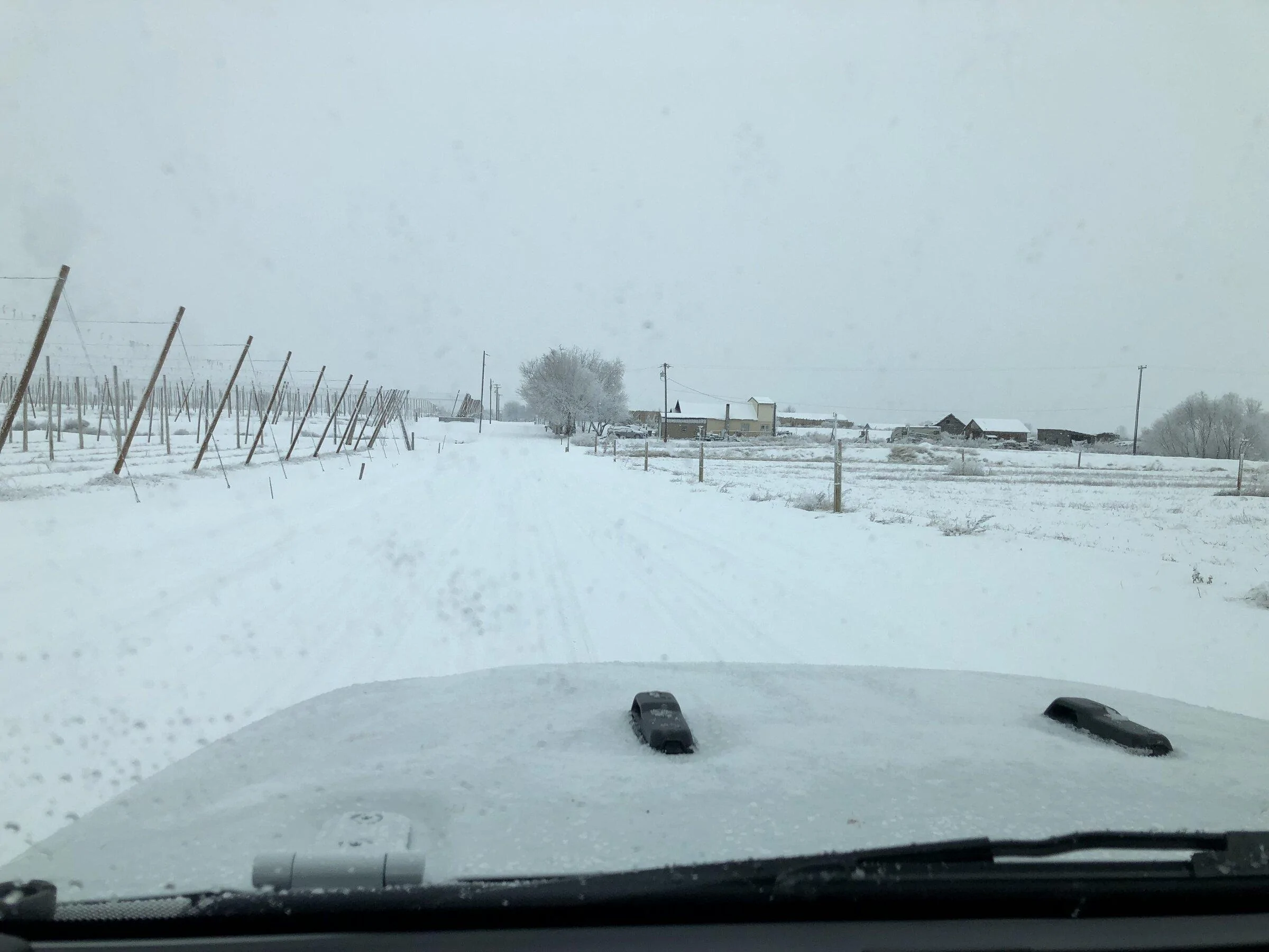 Jeep Gladiator Traction control on or off in snowy conditions? IMG_4320