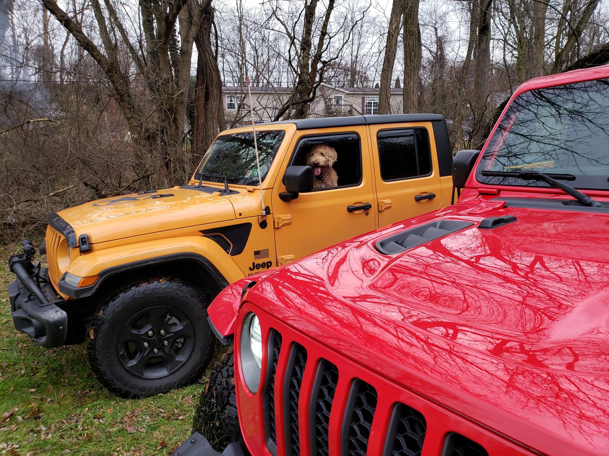 Jeep Gladiator Let’s see your pets cause they are the best companion you can have!!!!! 20211231_161538_resized