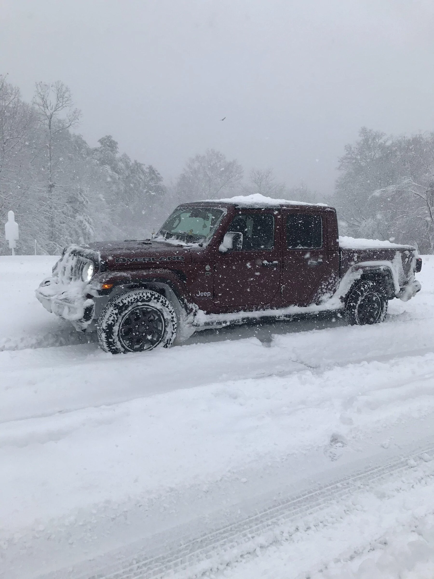 Jeep Gladiator Let's see those winter wheeling shots! ? 9EC9C024-6288-43C5-9614-54C41FD61AFA