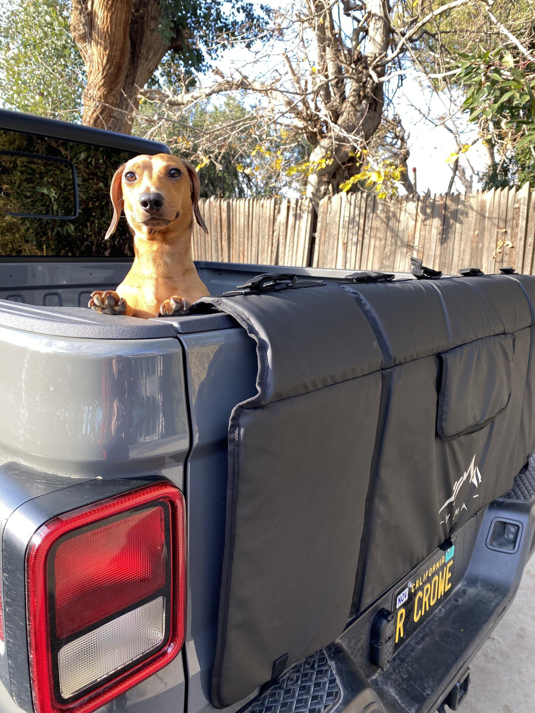 Jeep Gladiator Product Review: Himal Tailgate Mtn Bike Pad 762D8576-CC6C-467D-AD37-F53D1EC5F2CA