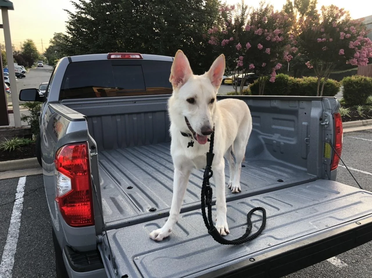 Jeep Gladiator Sting Gray line-x. Anyone have it done? 2D9C855C-905D-420C-8893-854631495EB2