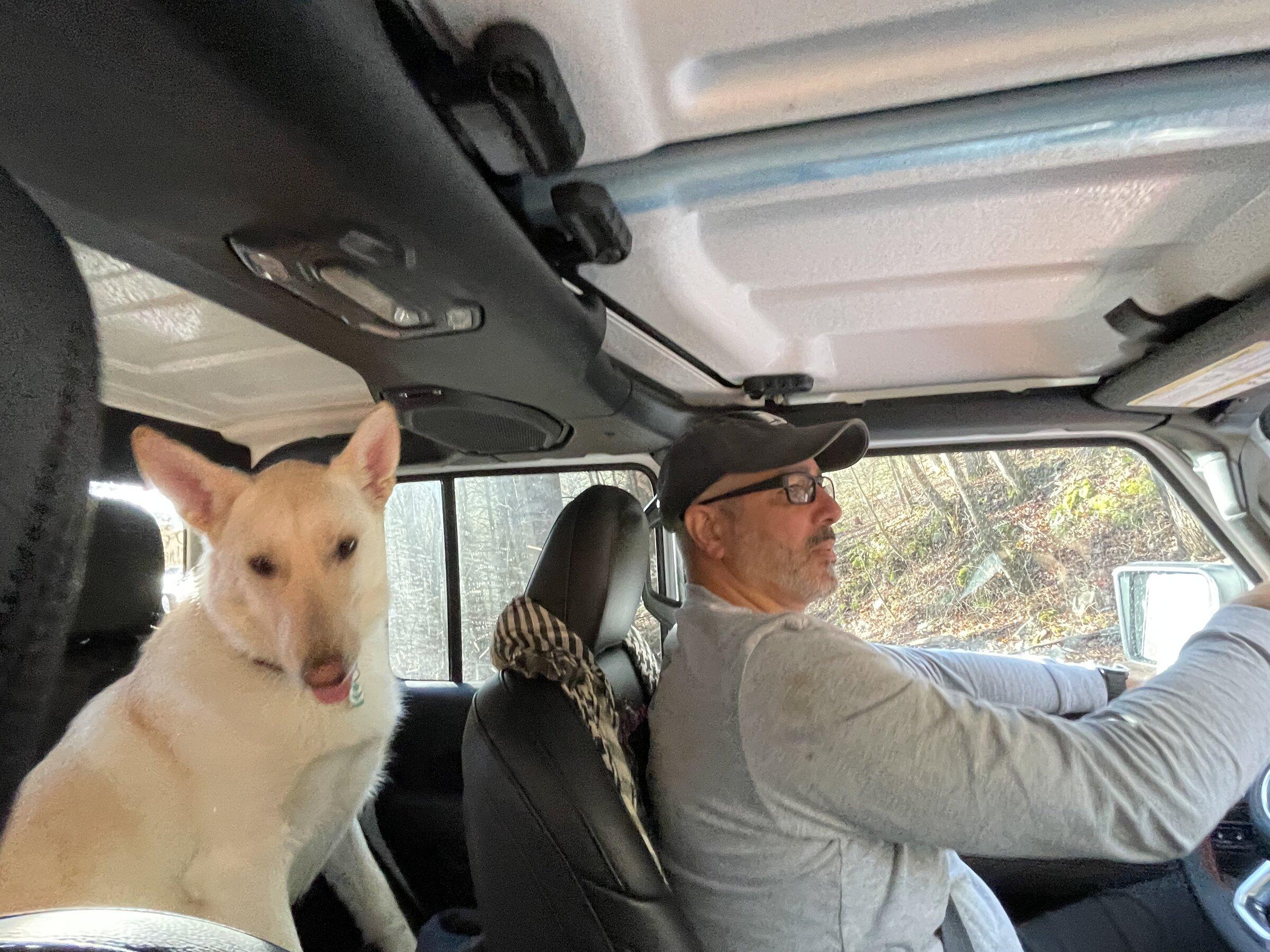 Jeep Gladiator Show me your furry Co-Pilots. F9E0F4EE-B473-4000-BF59-A1FEA4169C88