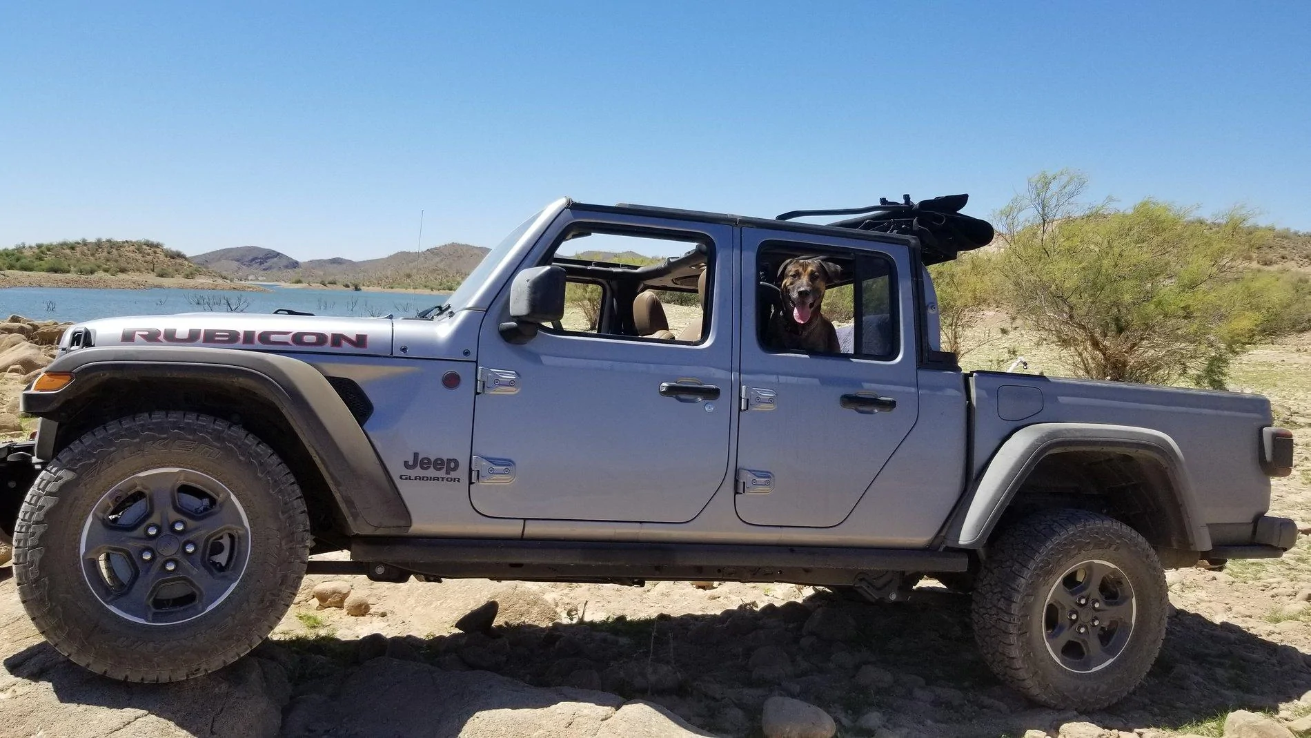 Jeep Gladiator Glad(iator) Dogs! Let's see 'em! 20190704_105631