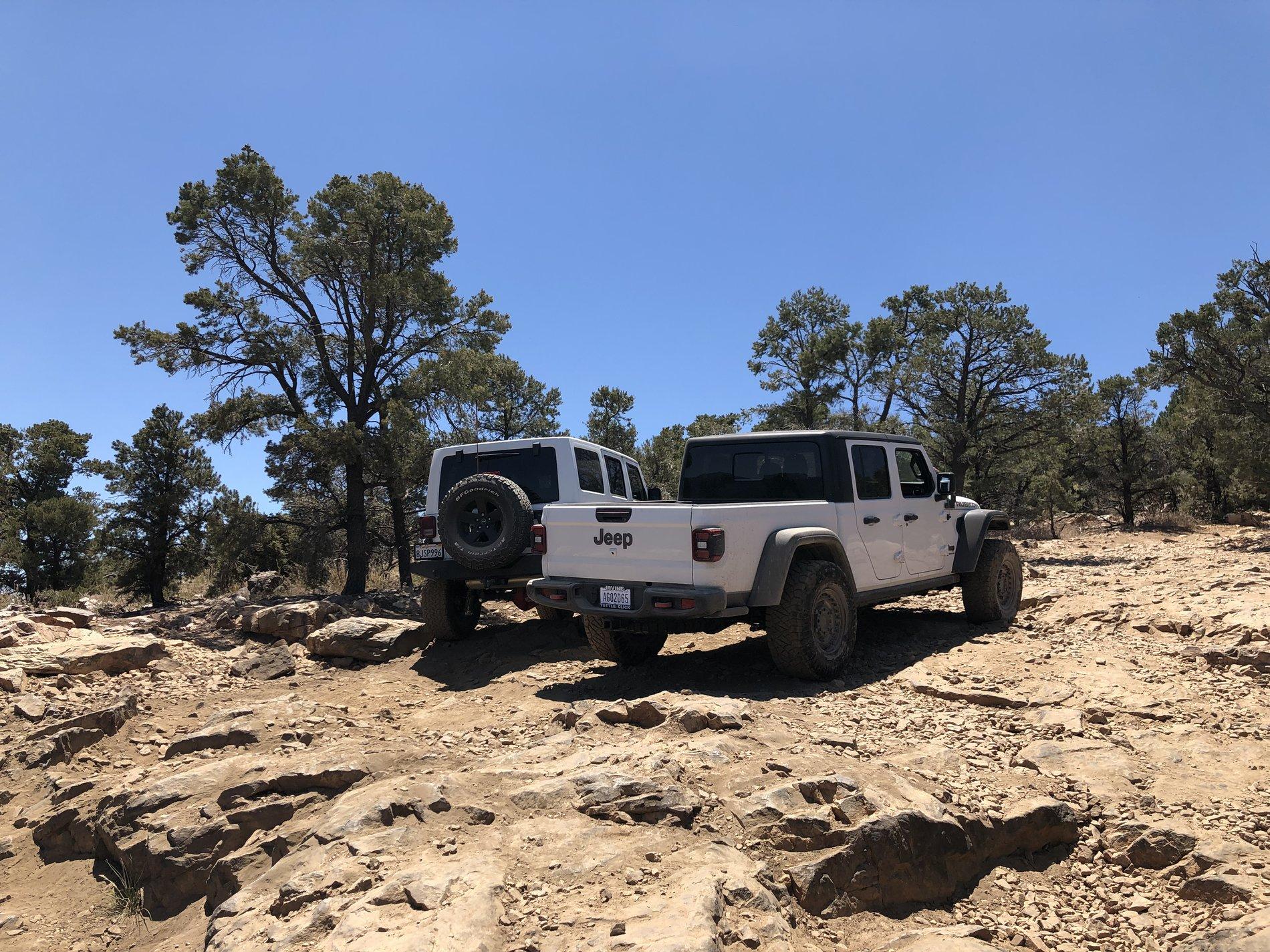 Jeep Gladiator BRIGHT WHITE Gladiator JT Club 85F5EC73-41E5-47CE-9723-0EACFBF754CB