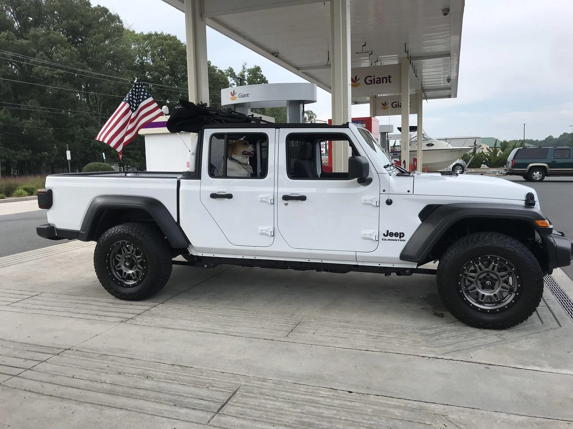 Jeep Gladiator Glad(iator) Dogs! Let's see 'em! 0E62DB1A-DFD4-4EB7-8109-1FBDFB422C65
