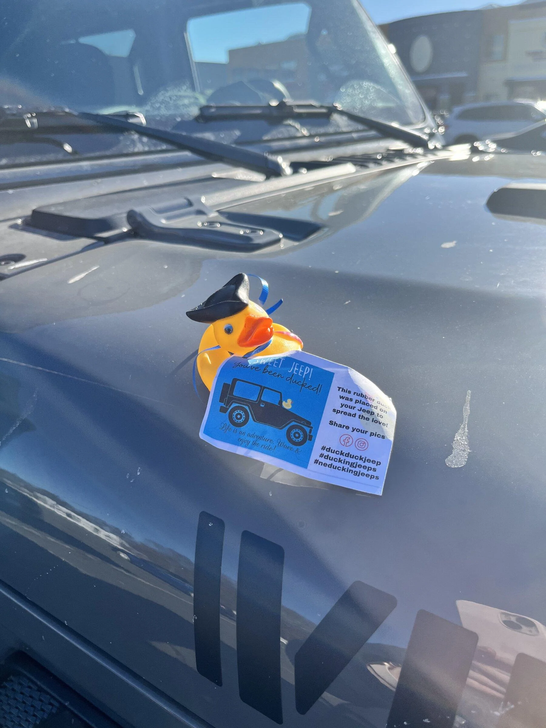 Jeep Gladiator Get a duck yet? E157EDB8-770E-4342-84F4-E07A8CE989F6