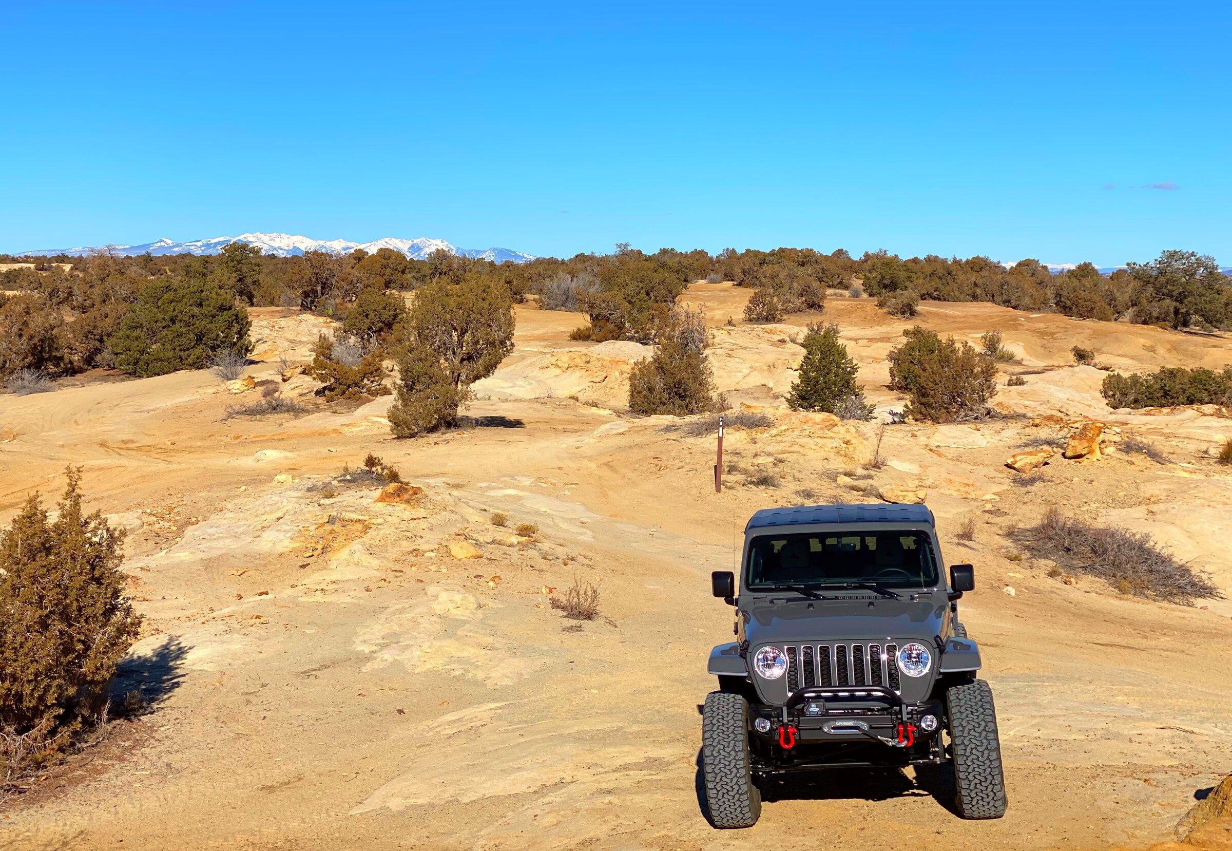 Jeep Gladiator What did you do WITH your Gladiator today? FF98BABF-B5BB-466B-911E-166087C6B0BA
