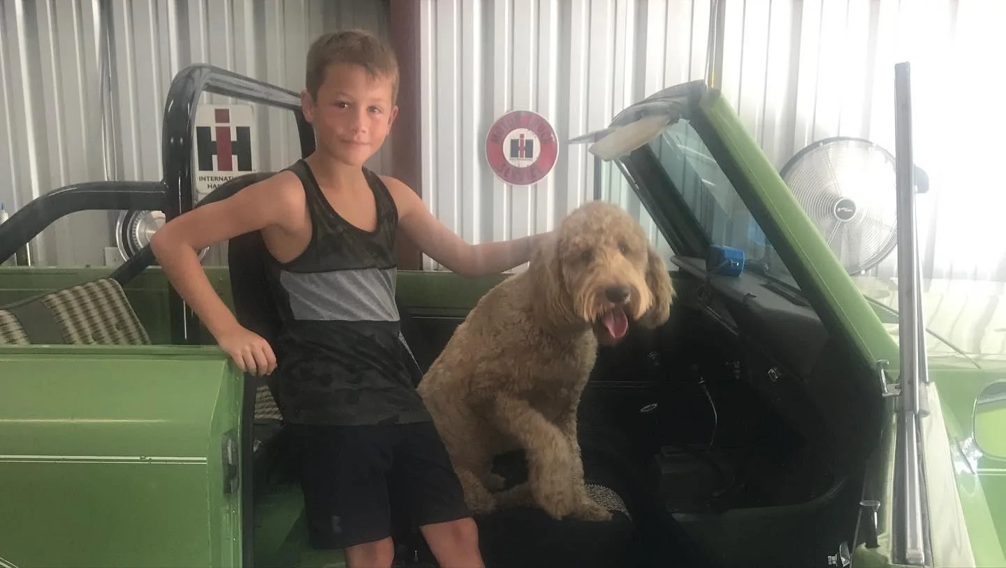 Jeep Gladiator Let’s see your pets cause they are the best companion you can have!!!!! D51204E1-AA3F-48F8-BB6D-D2AE4DED7D0E