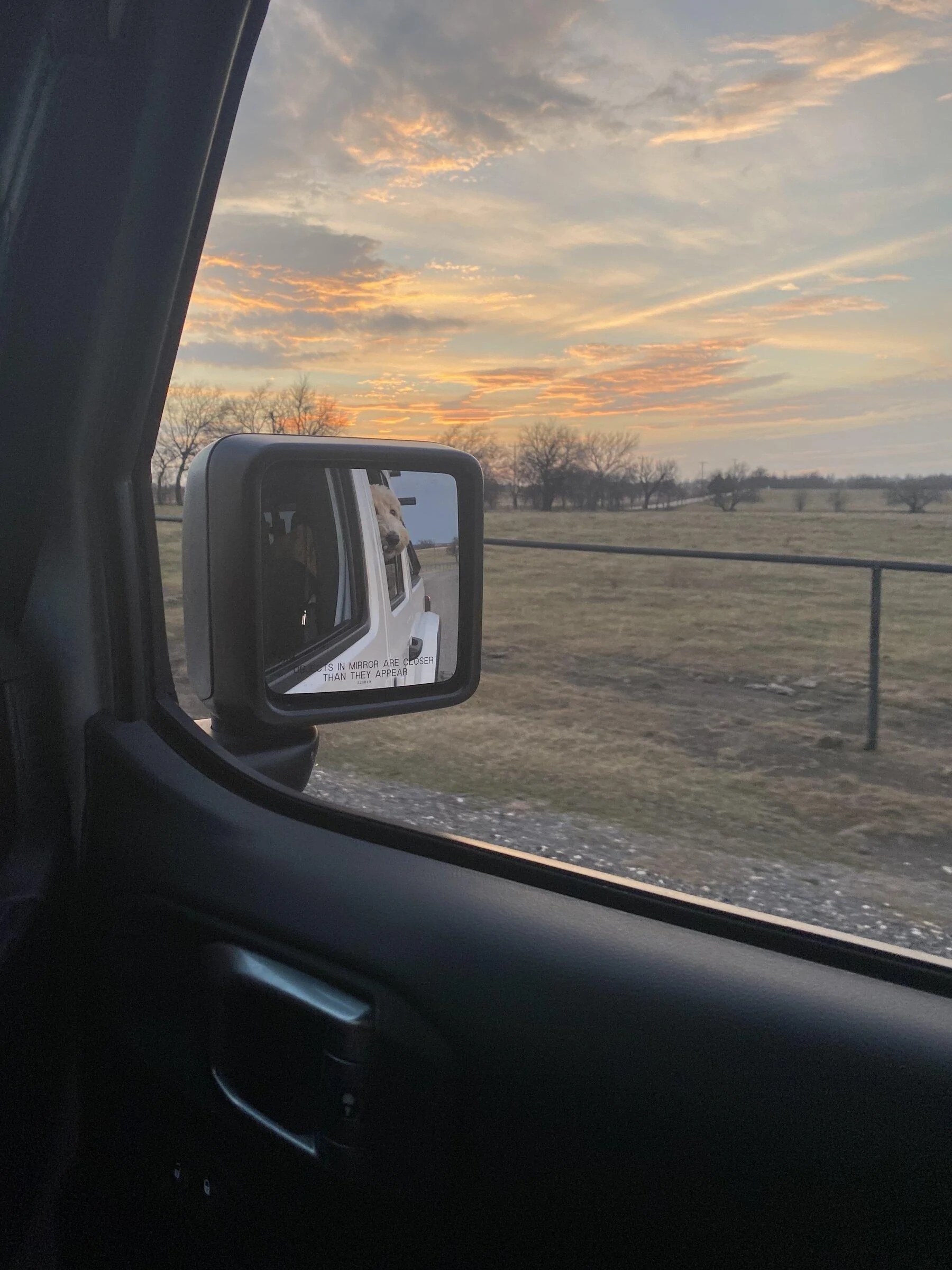Jeep Gladiator Let’s see your pets cause they are the best companion you can have!!!!! C20539F5-DCF5-4E6A-9523-936378550141