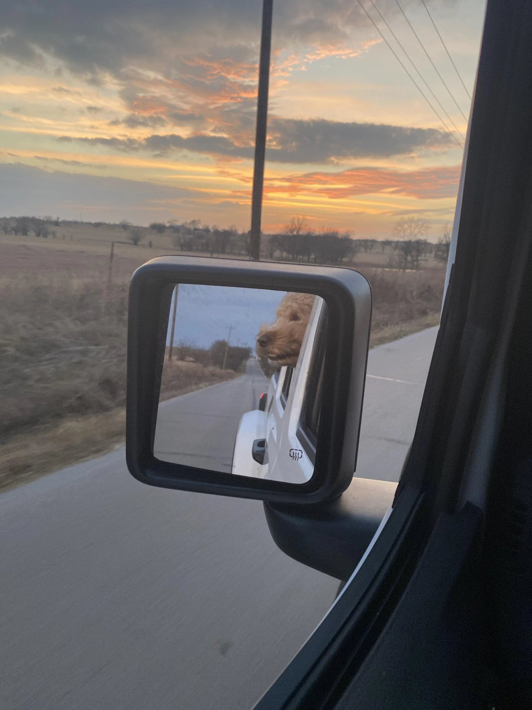 Jeep Gladiator Let’s see your pets cause they are the best companion you can have!!!!! D298D049-1C33-435B-9469-9C7B93B3897B