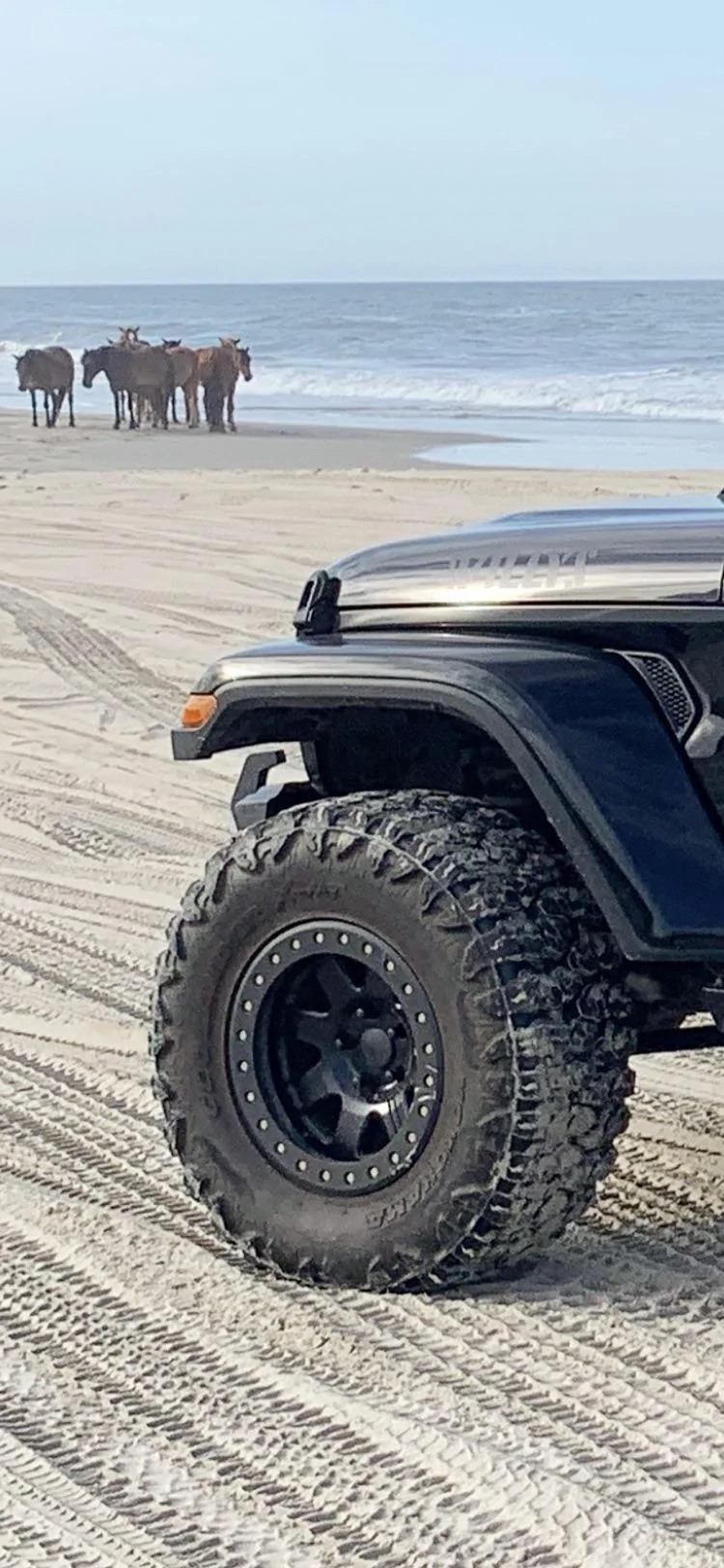 Jeep Gladiator Gladiator Glamour Shots 811CF266-D2C5-4156-BC76-AE0CC4688361