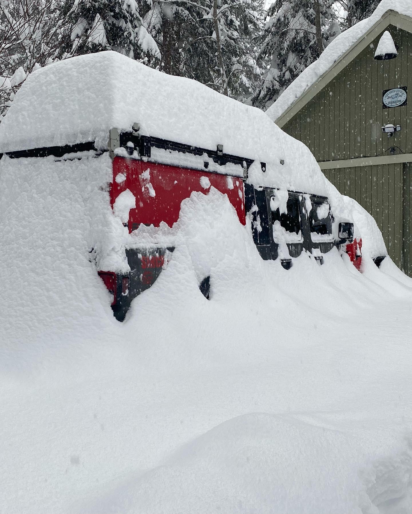 Jeep Gladiator Let's see those winter wheeling shots! ? 99E27B72-45FA-4912-93BD-63C911B1B942