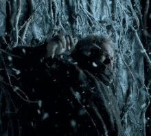 Jeep Gladiator O hodor-game-of-thrones