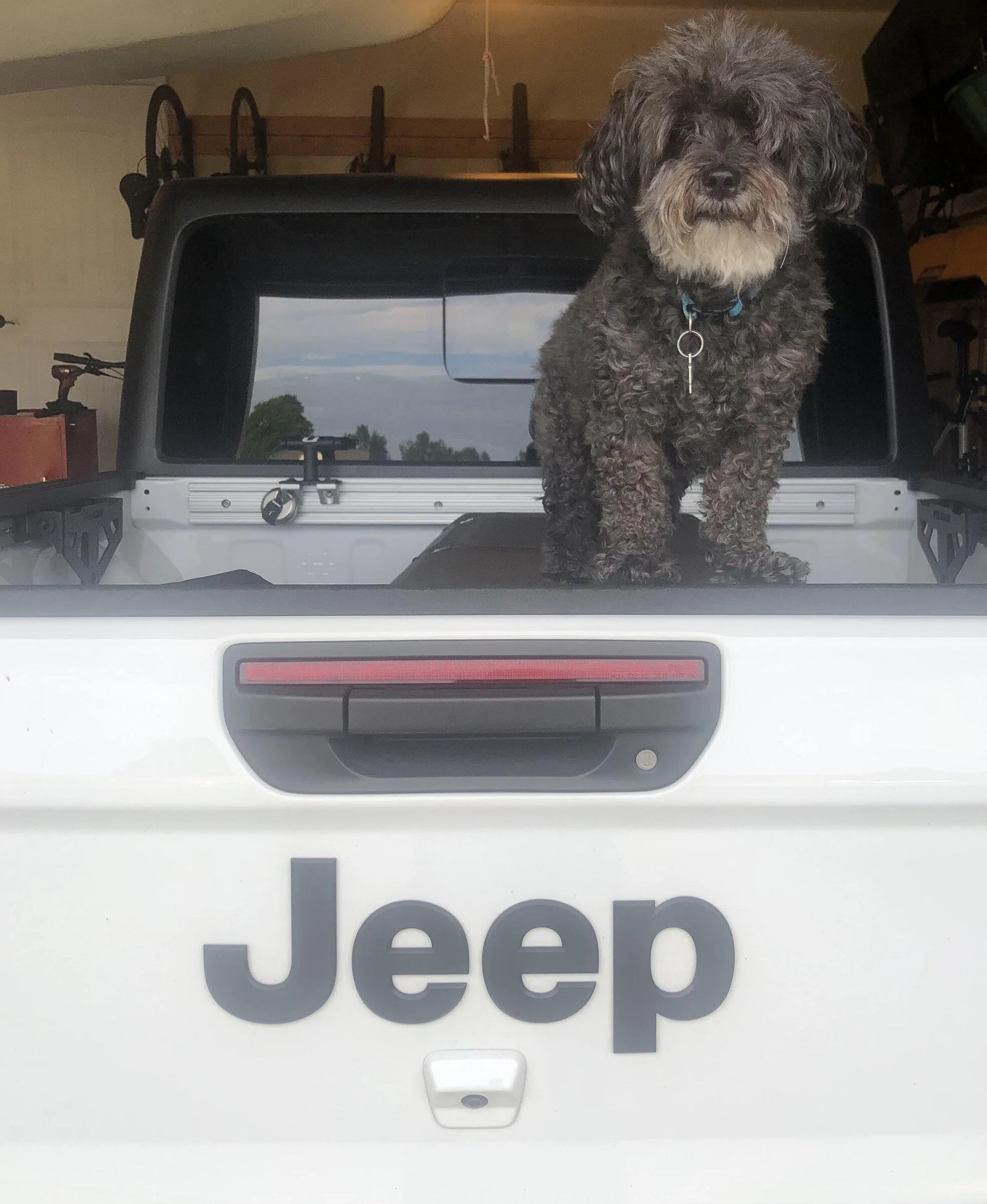 Jeep Gladiator What did you do TO your Gladiator today? [ADMIN WARNING: NO POLITICS, NO GUN TALK] A4CBE7FD-748E-44A2-AE5E-339DAB36E094