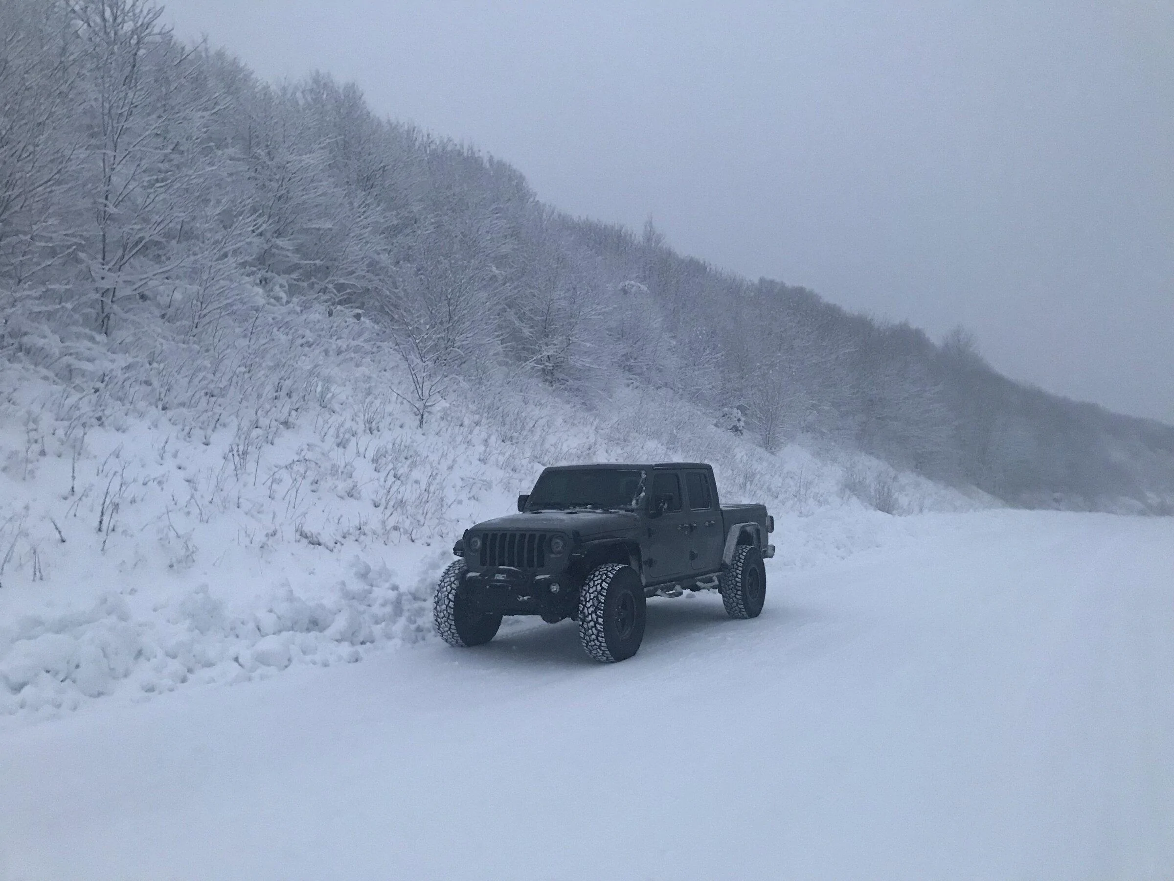 Jeep Gladiator What did you do WITH your Gladiator today? 98237E0E-5739-4EE2-8A4E-2689D854ACFF