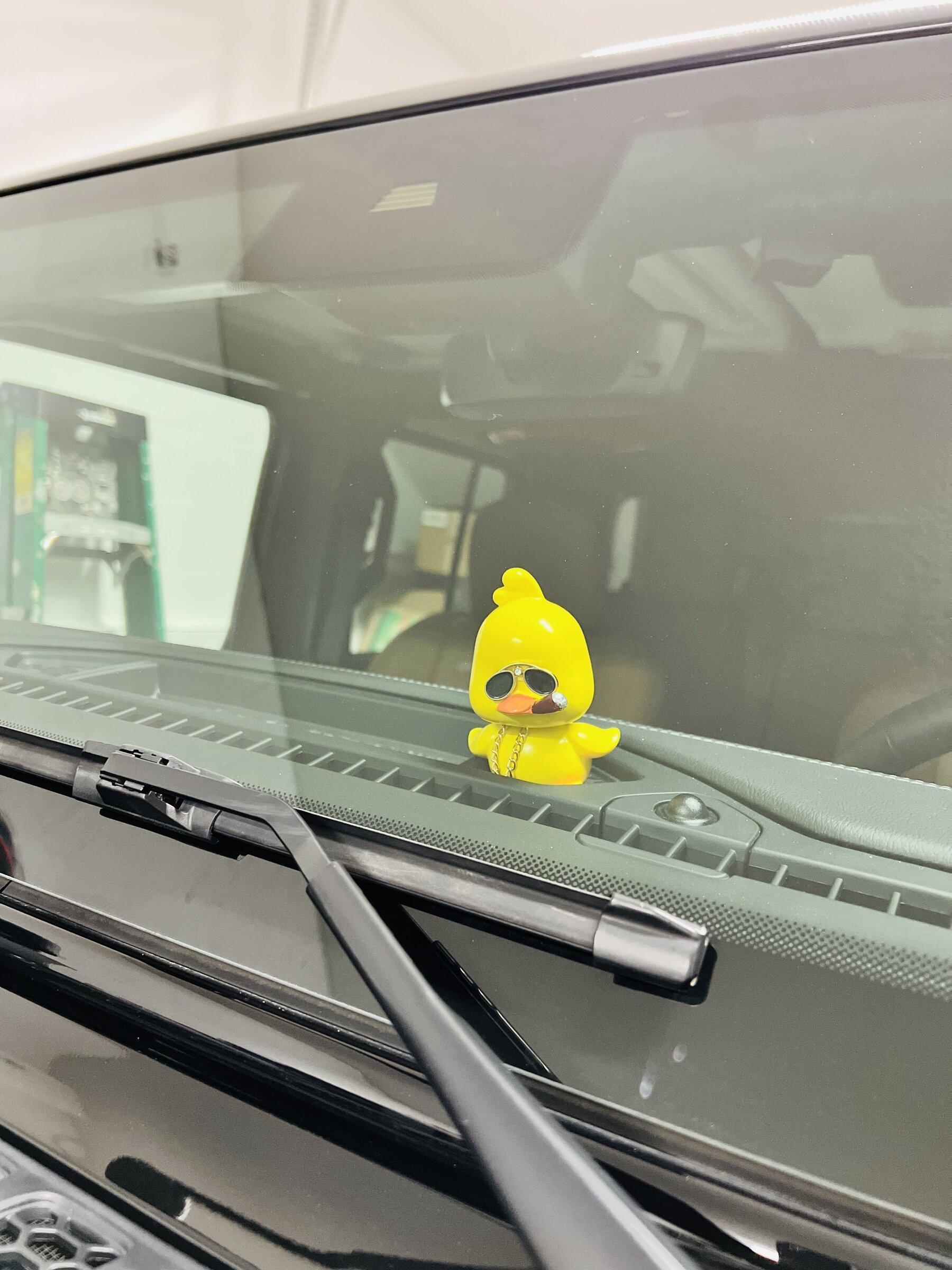 Jeep Gladiator What did you do TO your Gladiator today? [ADMIN WARNING: NO POLITICS, NO GUN TALK] 66519553885__1D0D90F9-2DE9-4BE1-B758-3DE07FA7460F.fullsizerender