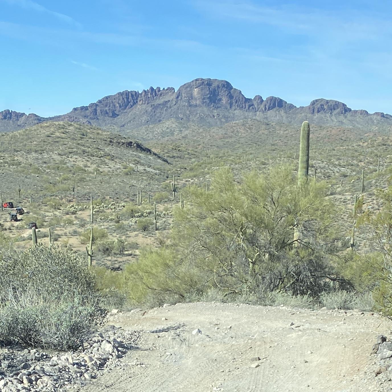 106605D1-E0C6-4A5F-9268-A48D0C812357.jpeg