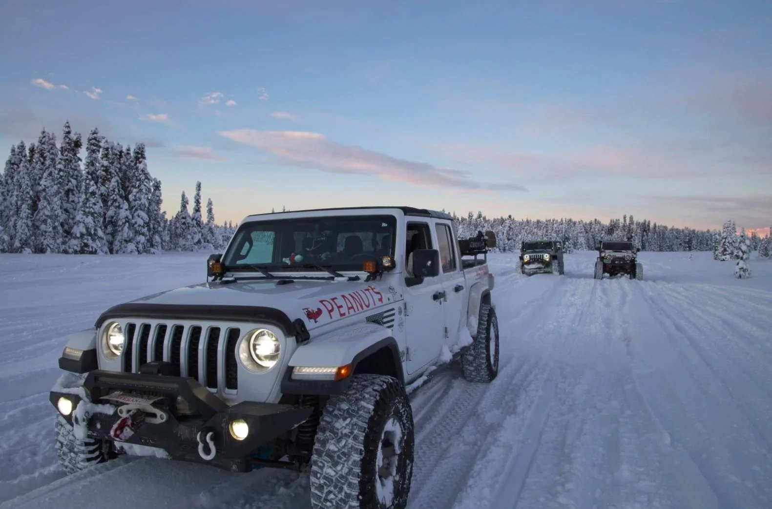 Jeep Gladiator What did you do WITH your Gladiator today? Purches 6