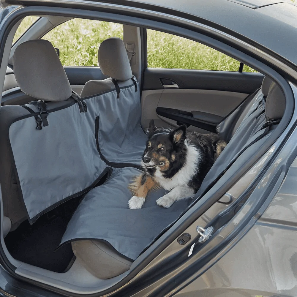 Jeep Gladiator Rear Seat Dog bed? 1643892937660