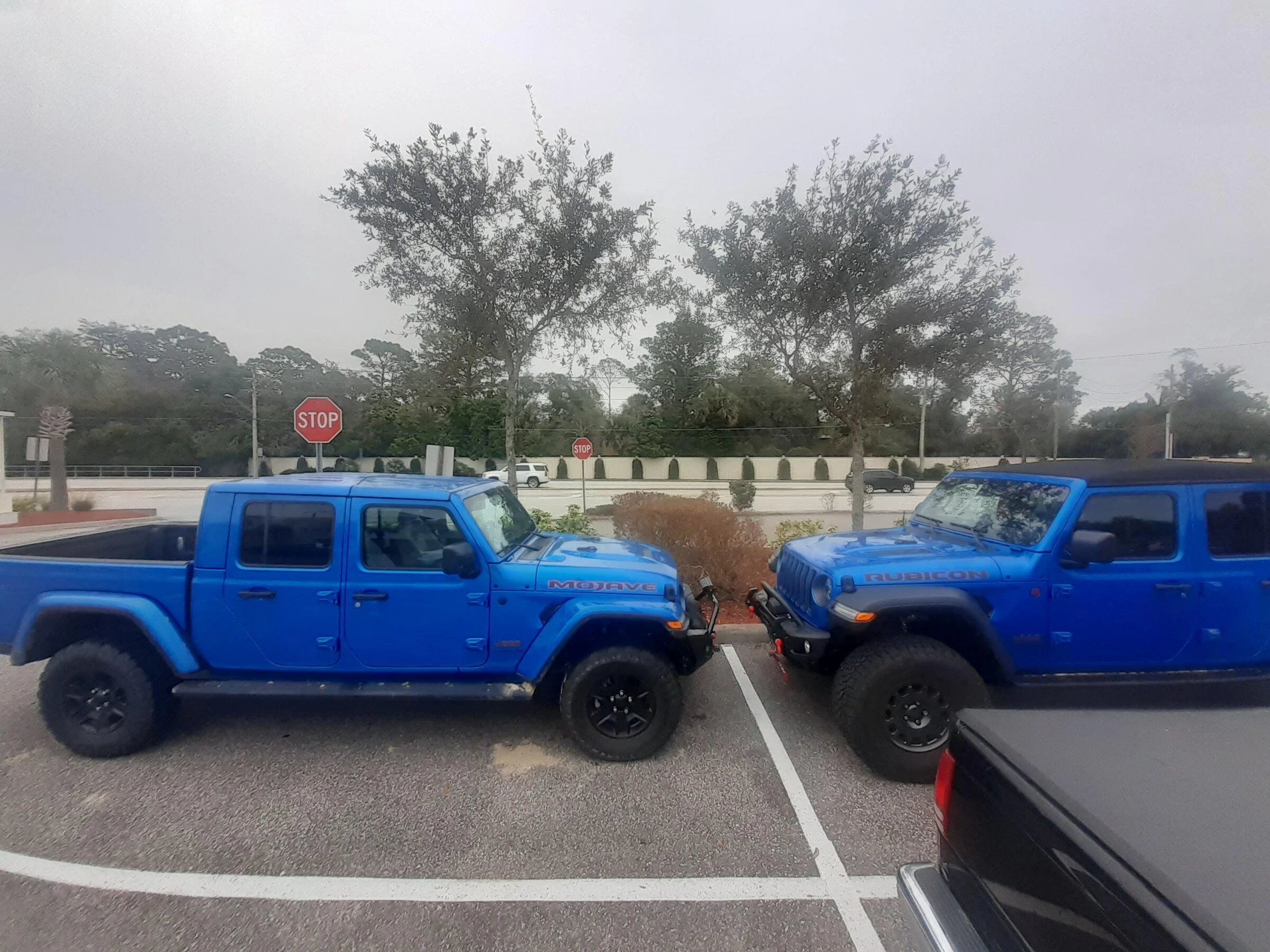 Jeep Gladiator Jeeps Parking Next To Jeeps 20220205_155723