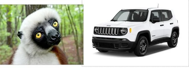 Jeep Gladiator Gladiator too big?? Perhaps the Comanche is the solution? lemurj
