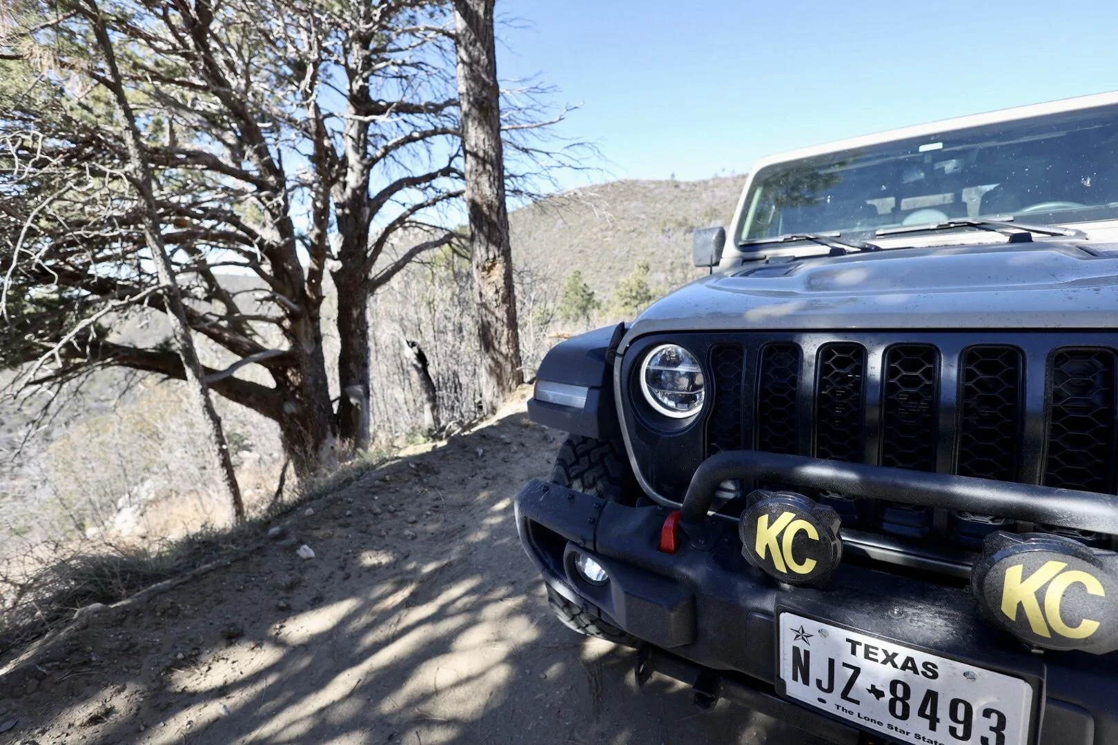 Jeep Gladiator What did you do WITH your Gladiator today? 732E7CE3-3501-4B6E-88EC-55BCF2A56D2C