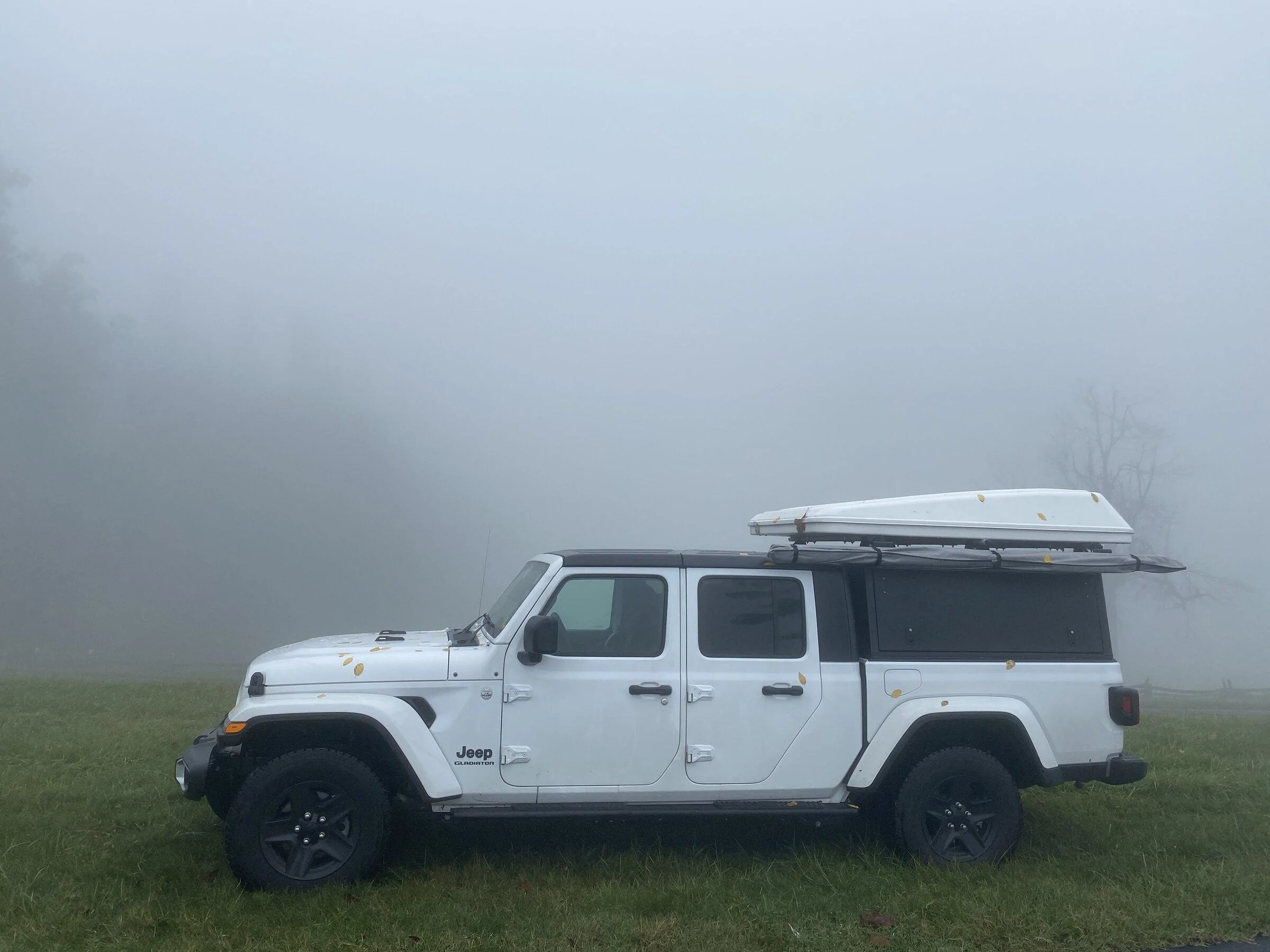 Jeep Gladiator Lets see those bed rack and tent combos! IMG_2472