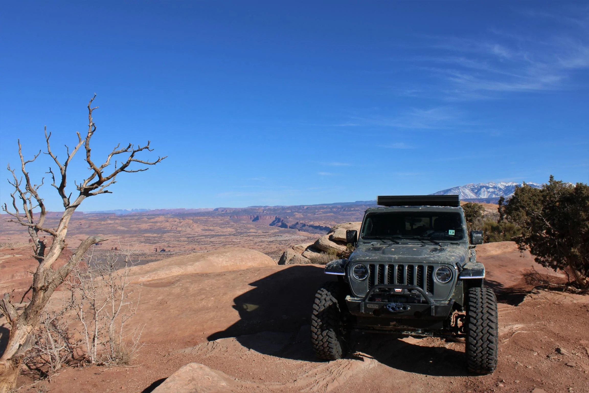 Jeep Gladiator From Taco to JTR and 40s! 07ABAEF1-195A-4DD4-9AFC-C6BADD49B388