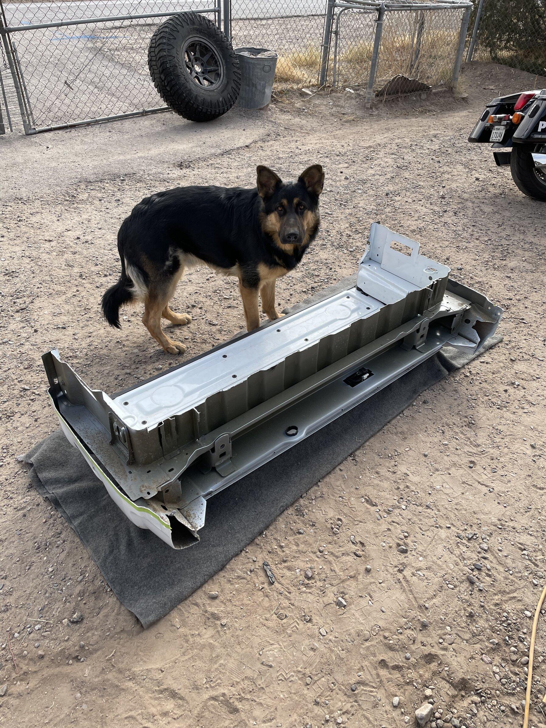 Jeep Gladiator Bed Chop??!!! AAC3EF68-6D5F-41DA-8350-DAA49ECF2705