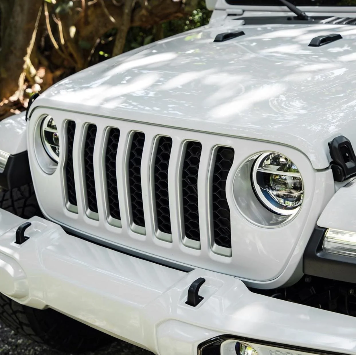 Jeep Gladiator BRIGHT WHITE Gladiator JT Club 532769DE-73C1-4879-93E7-AF41E8DC043F