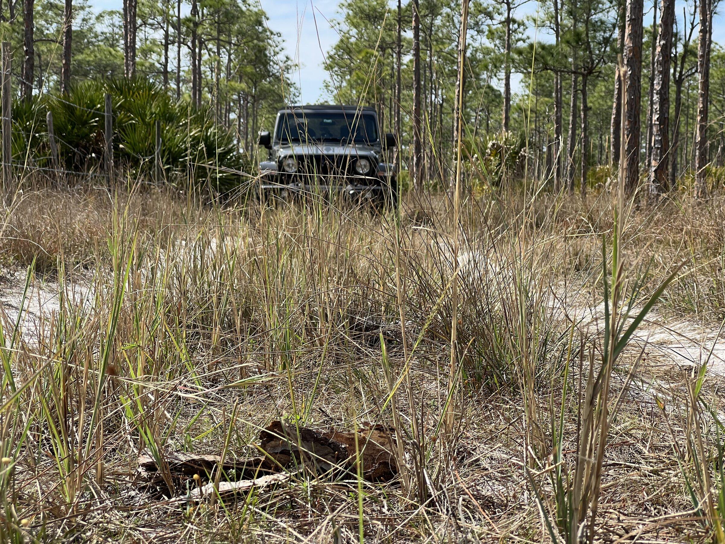 Jeep Gladiator What did you do WITH your Gladiator today? B1BF8816-4288-4443-A97B-837C5321016D