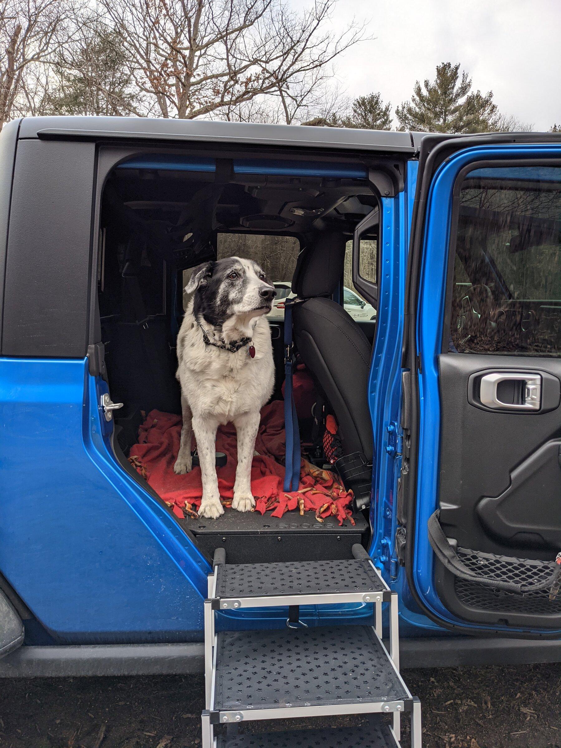 Jeep Gladiator Modify Back Doors to Make More Dog Friendly PXL_20220219_213421252