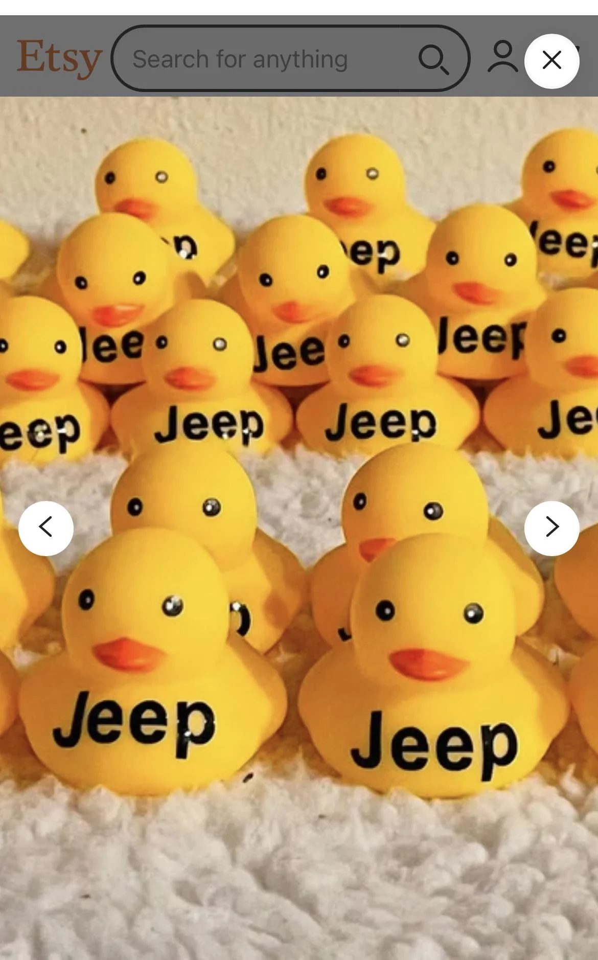 Jeep Gladiator Where do you get your ducks? 118651C1-6090-40E1-A66D-A3AD18C468E9