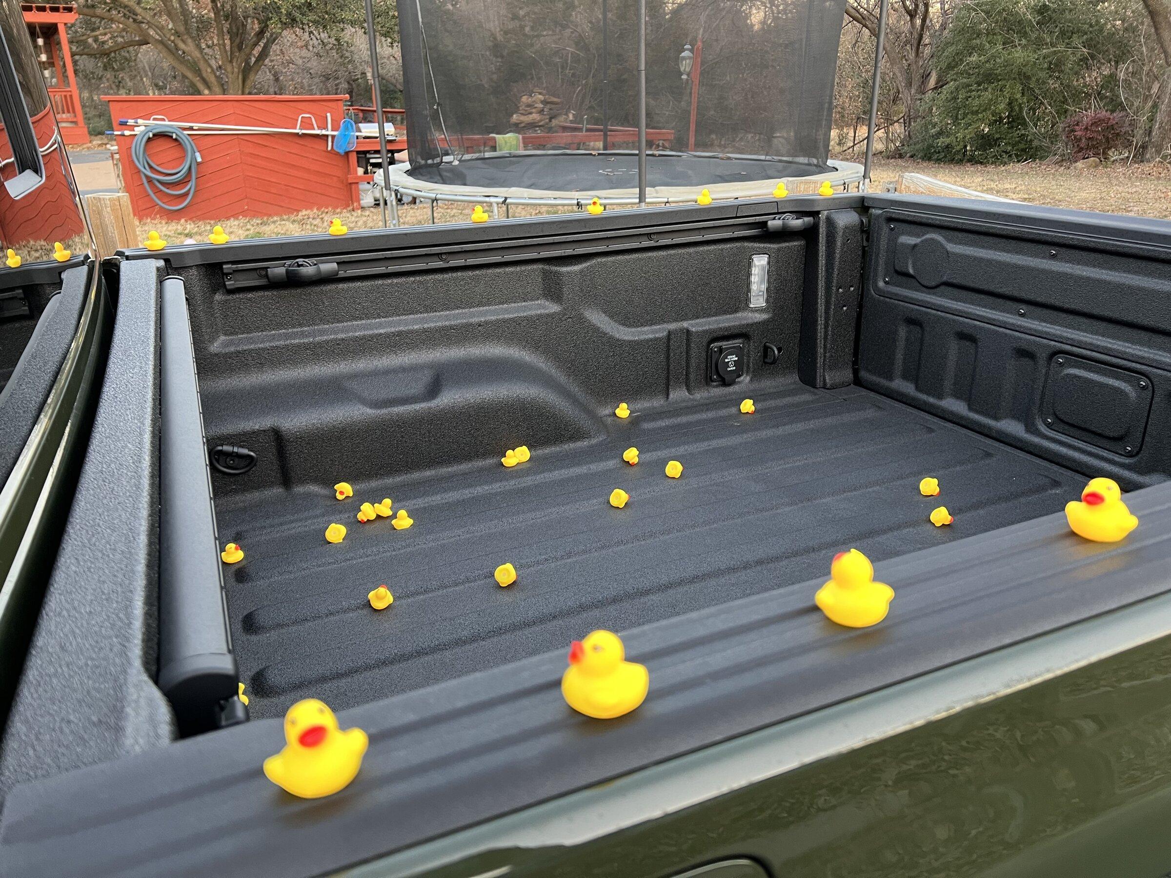 Jeep Gladiator What did you do TO your Gladiator today? [ADMIN WARNING: NO POLITICS, NO GUN TALK] F538C1F0-C91F-4968-BF1F-94E9B45161E4