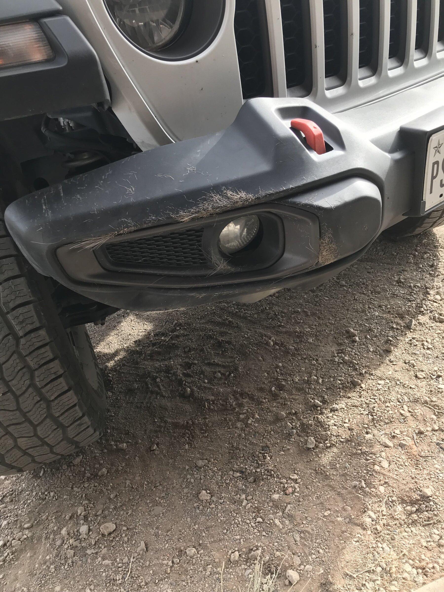 Jeep Gladiator Well..I figured sooner or later it was bound to happen. deer_accident