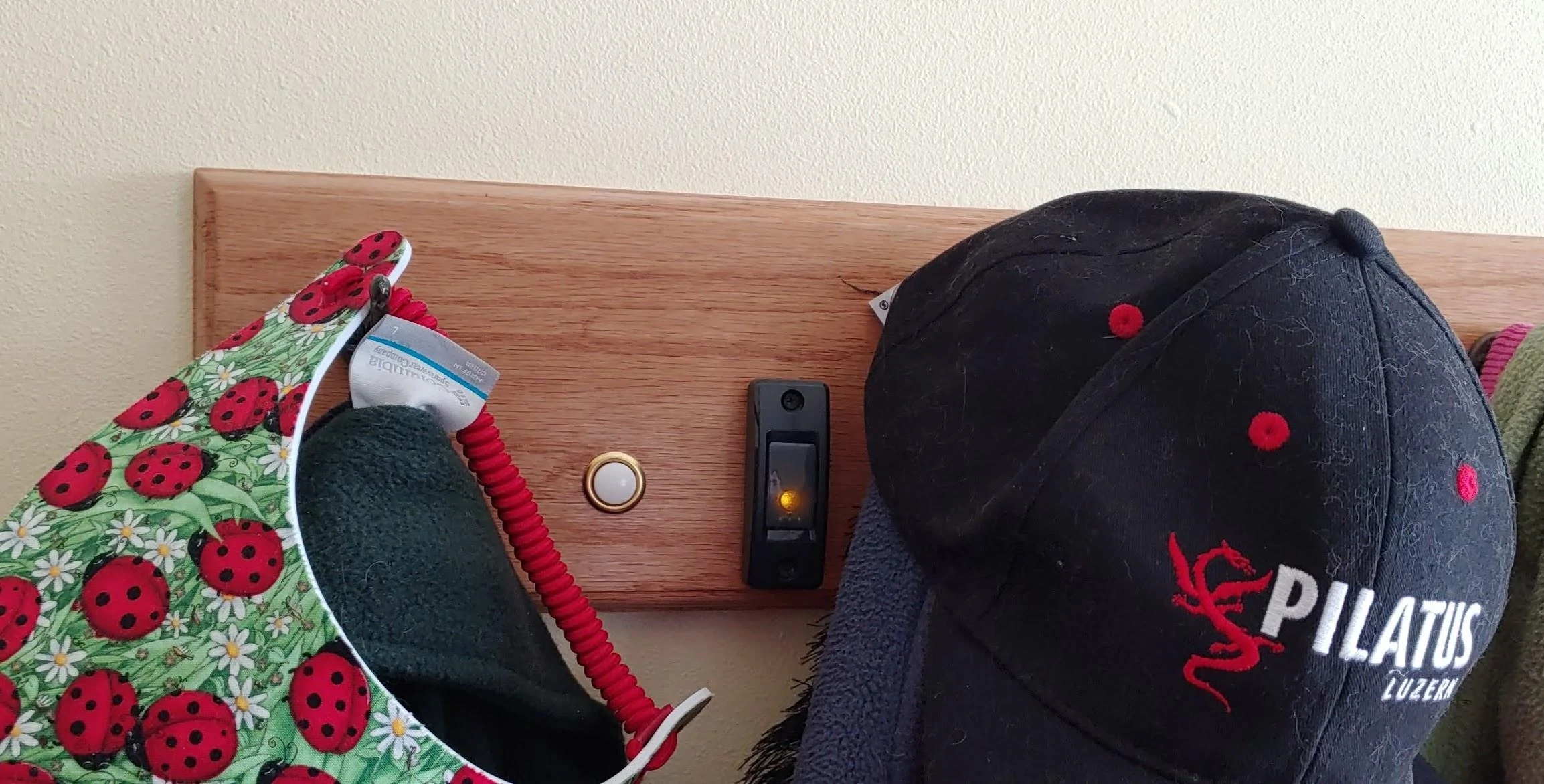 Jeep Gladiator Visor Garage Door Opener coat-rack-buttons